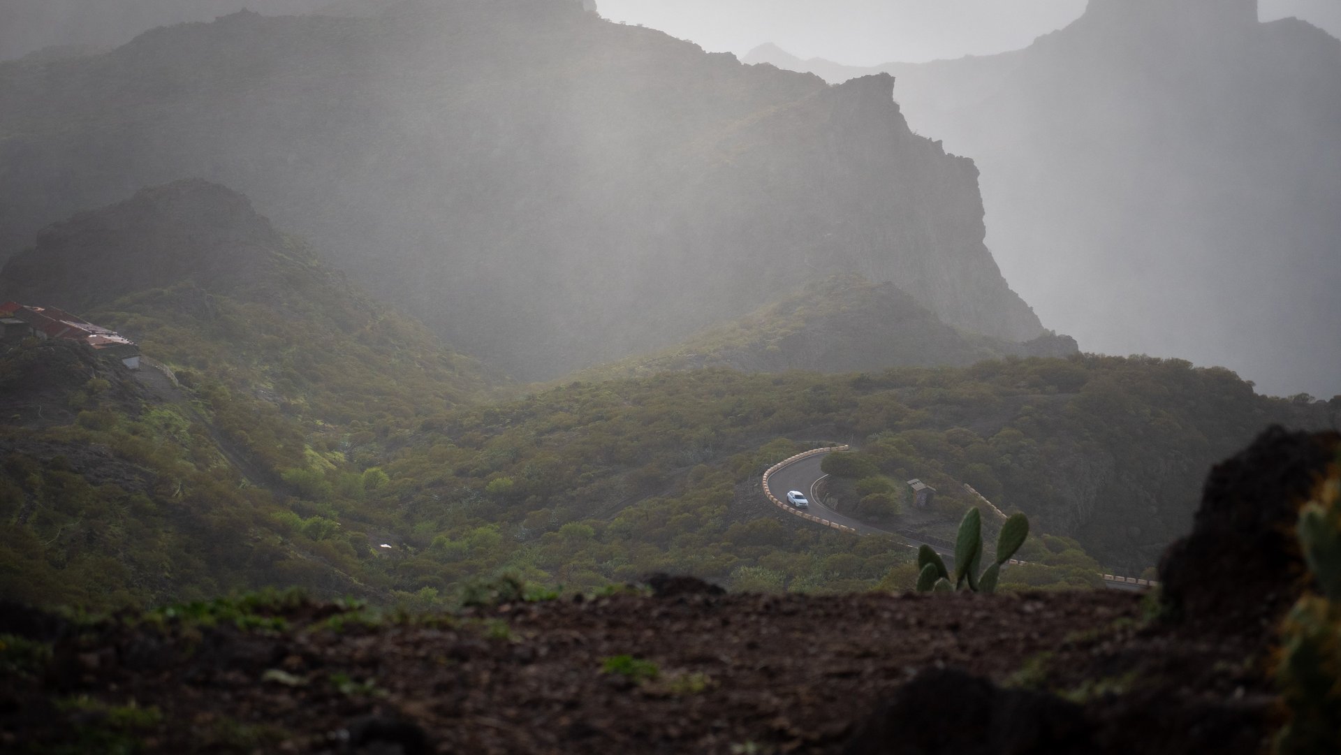 gray computer monitor