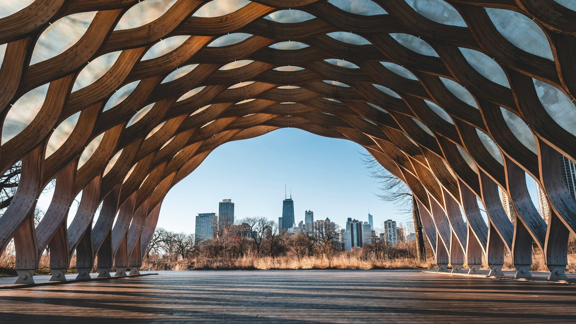 an abstract photo of a curved building with a blue sky in the background
