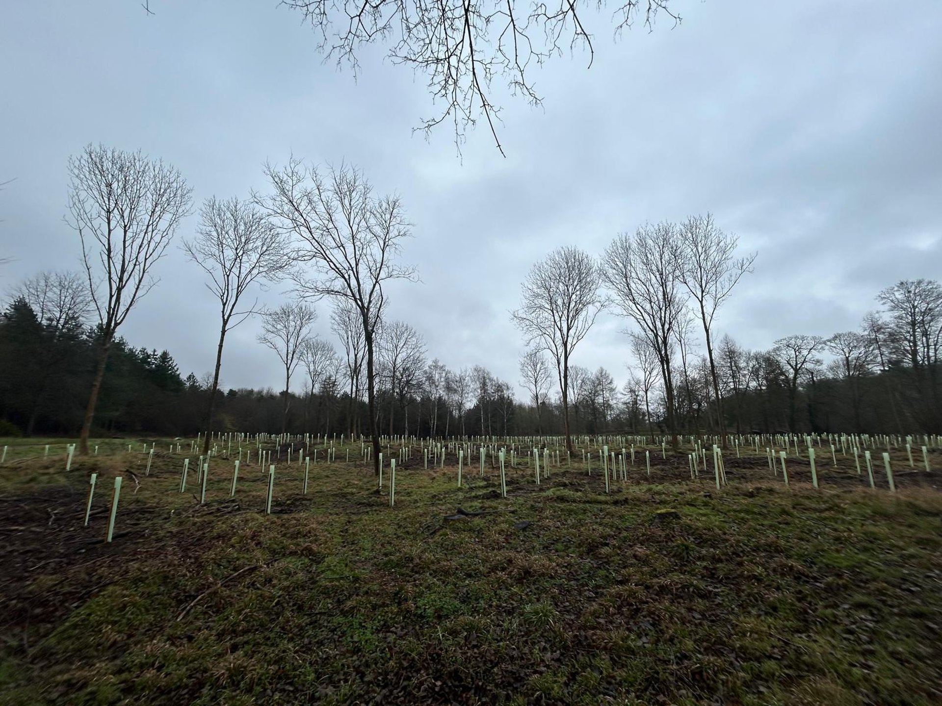 woman wearing yellow long-sleeved dress under white clouds and blue sky during daytime