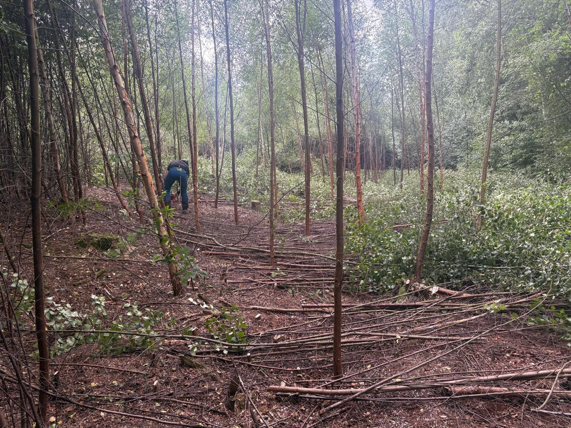 gray computer monitor