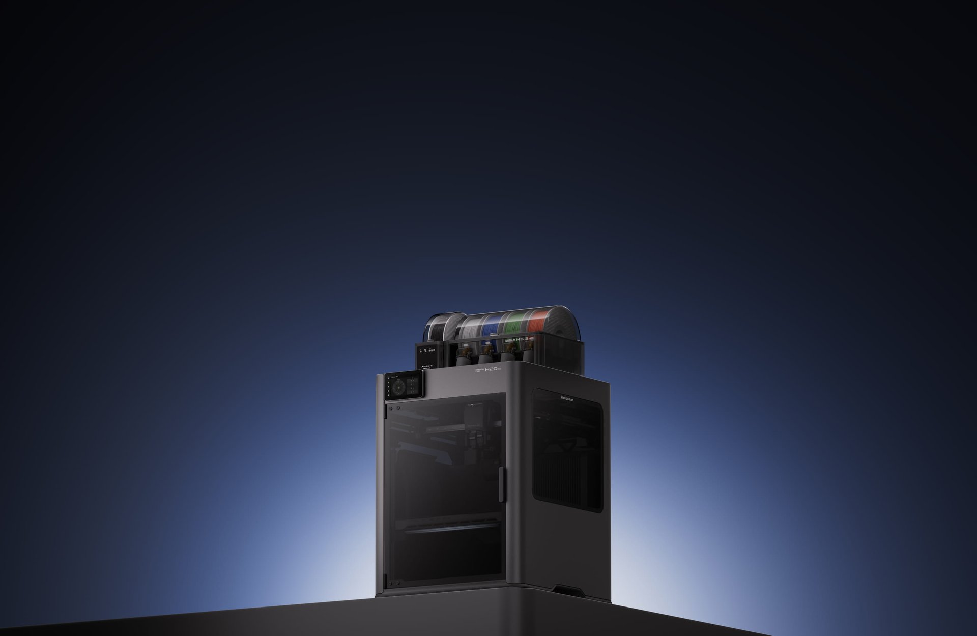 woman holding dried flower