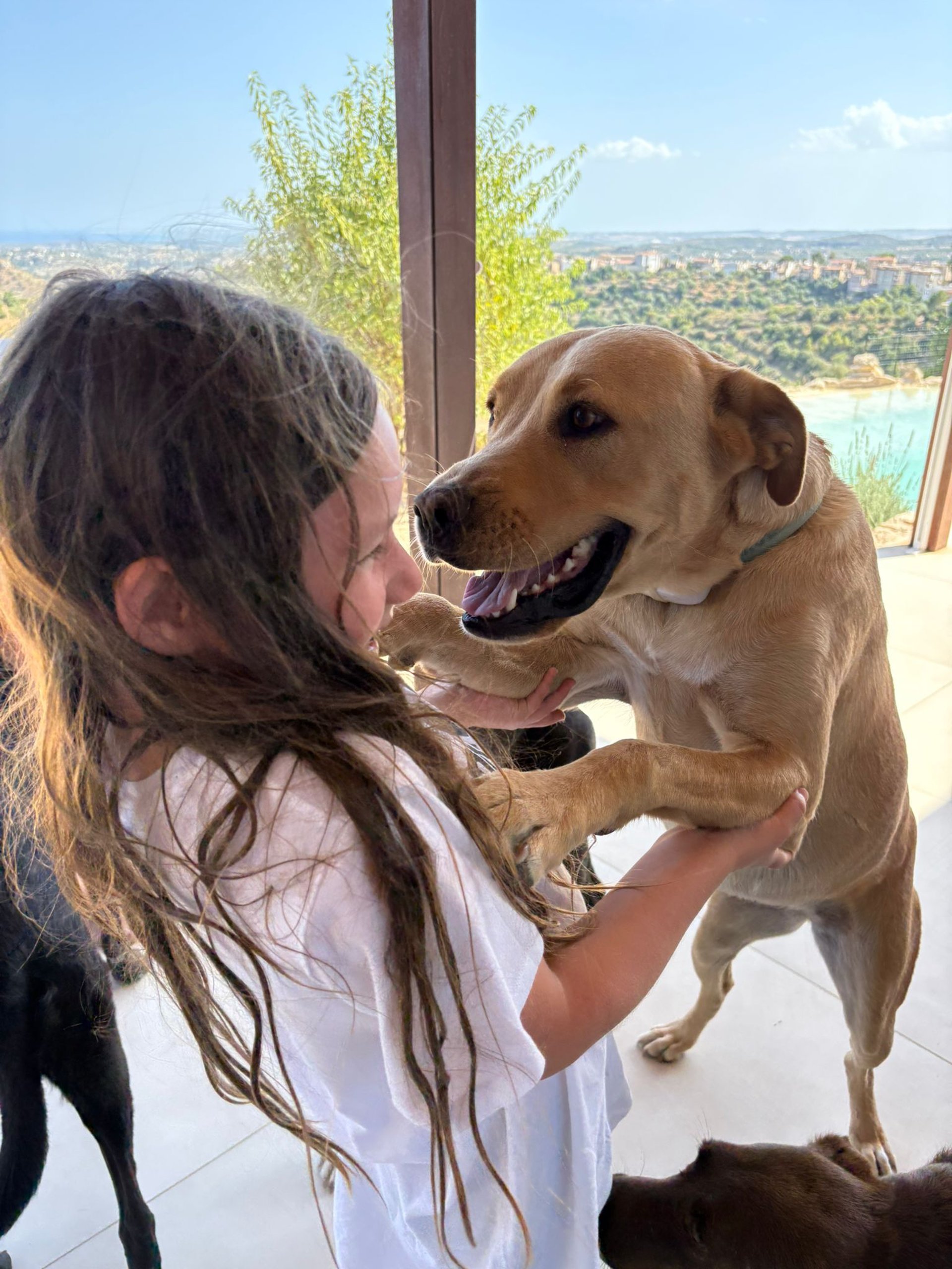black and white bed linen