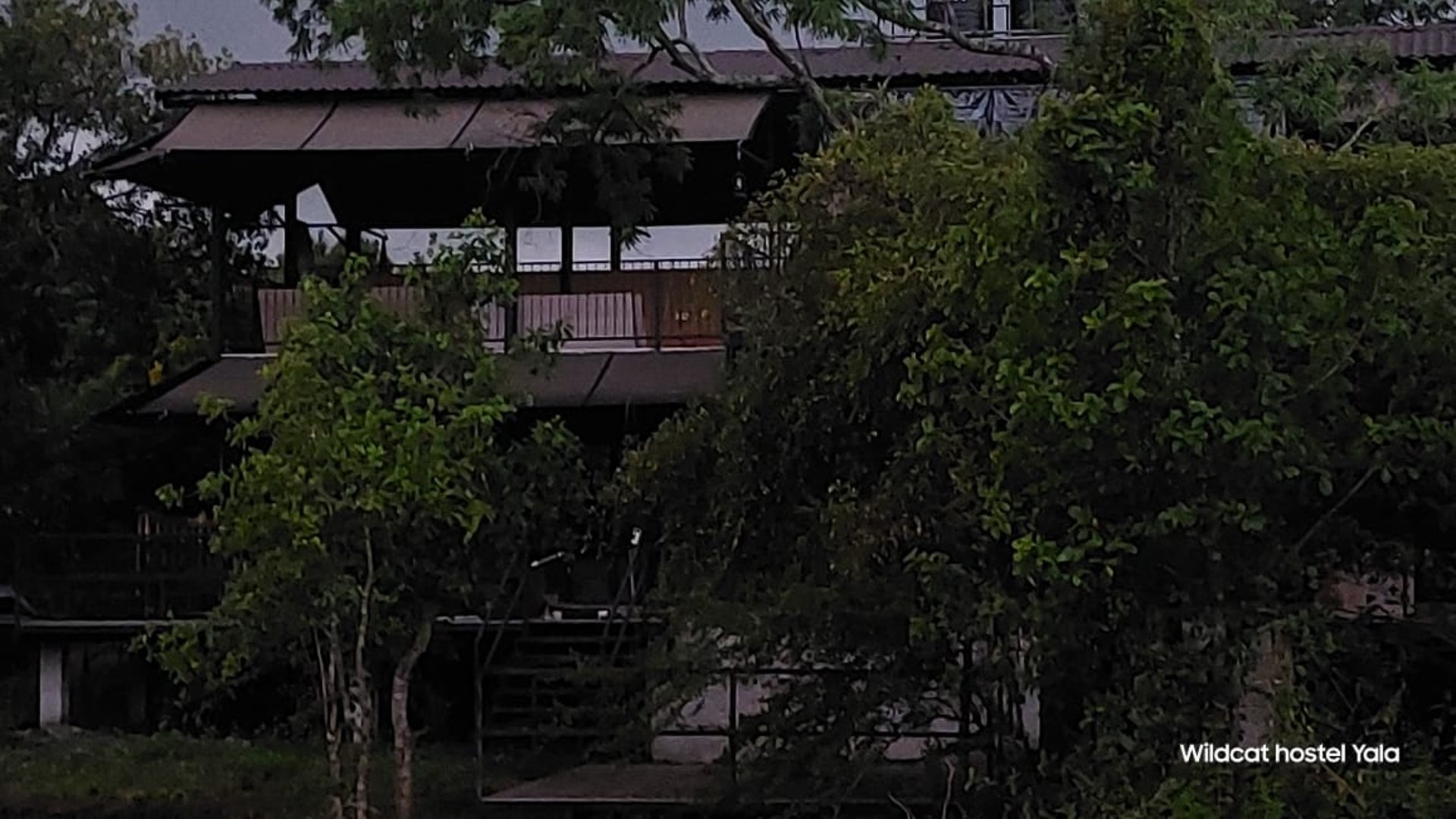 woman wearing yellow long-sleeved dress under white clouds and blue sky during daytime