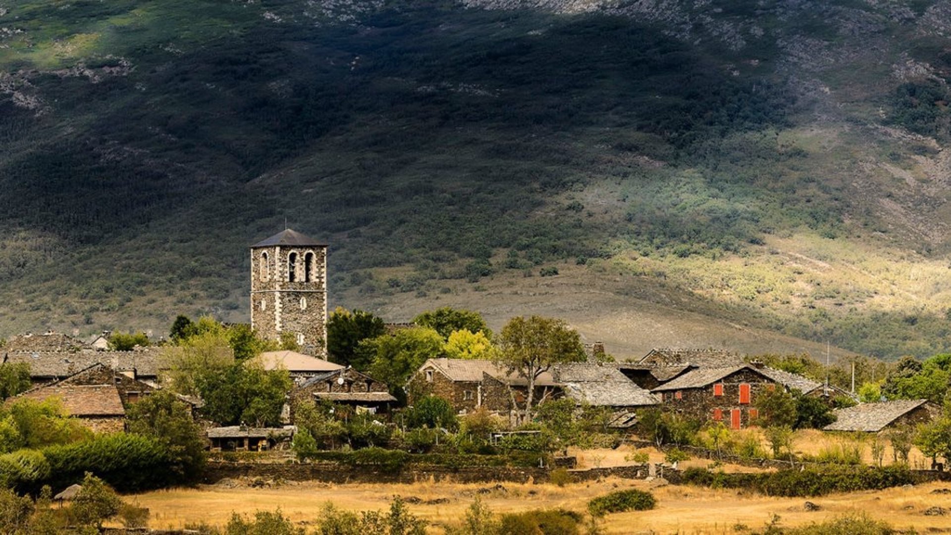 couple wearing silver-colored rings