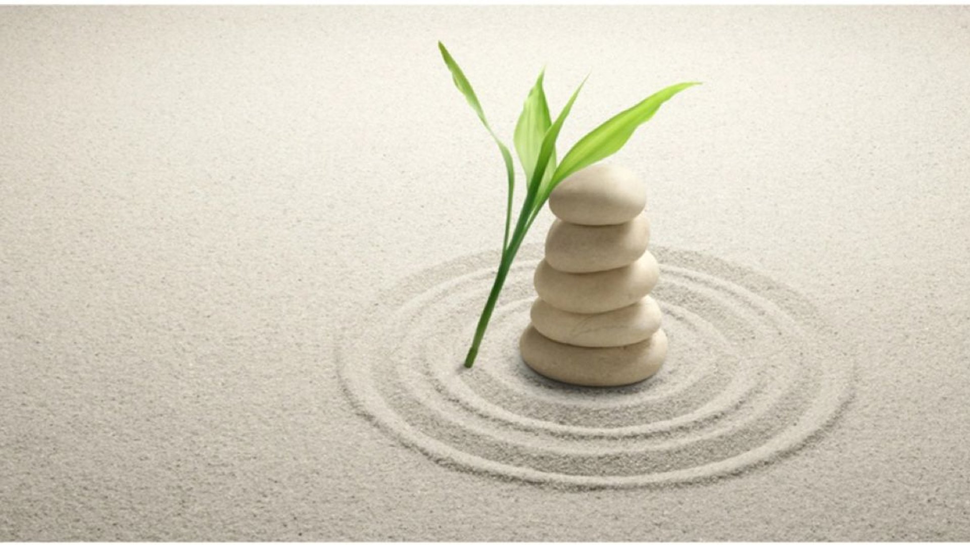 white ceramic mug on brown wooden table