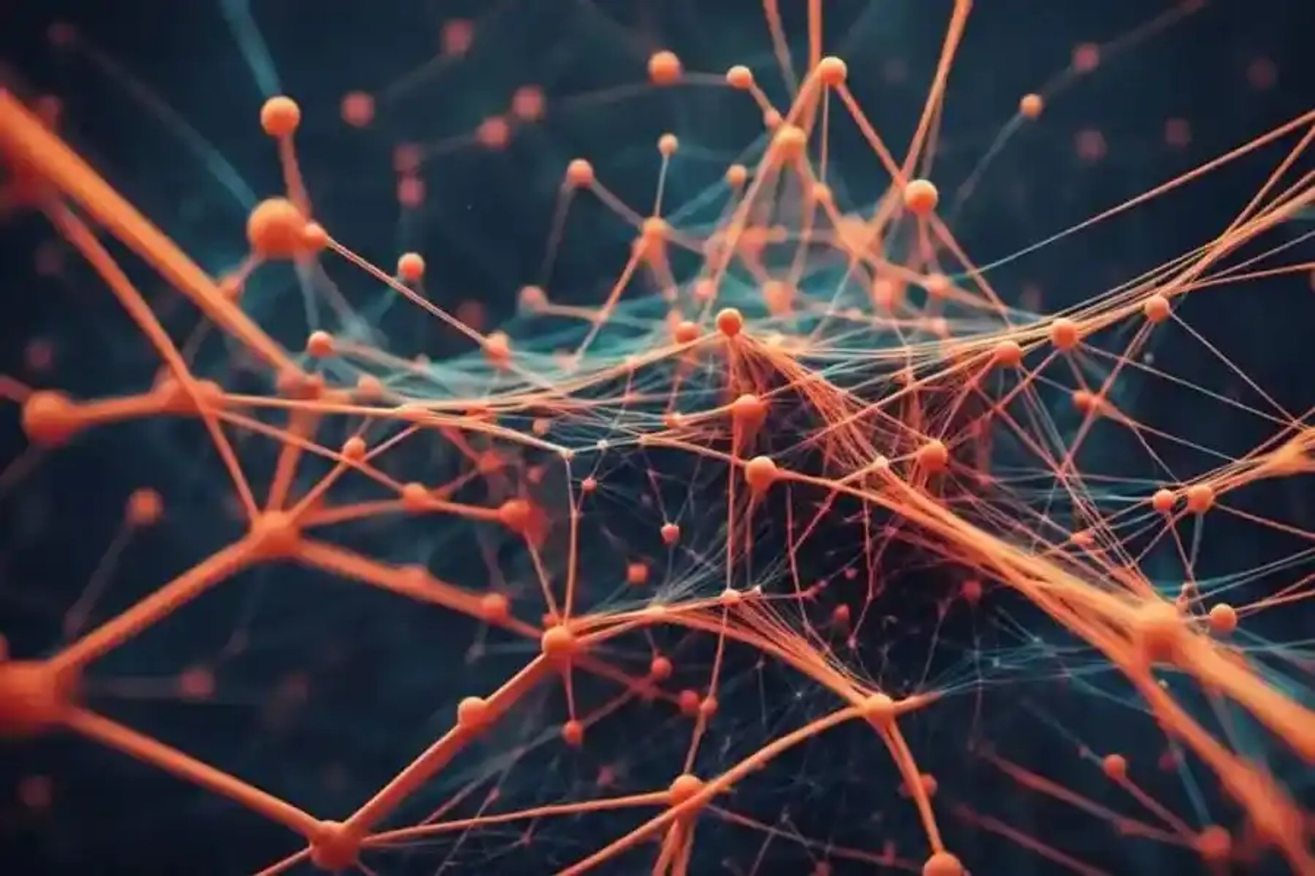 spider web in close up photography