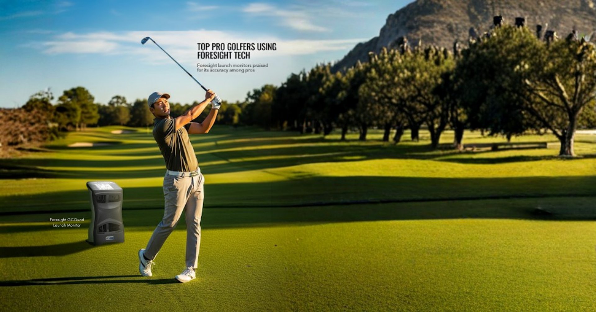 topview of grass lawn