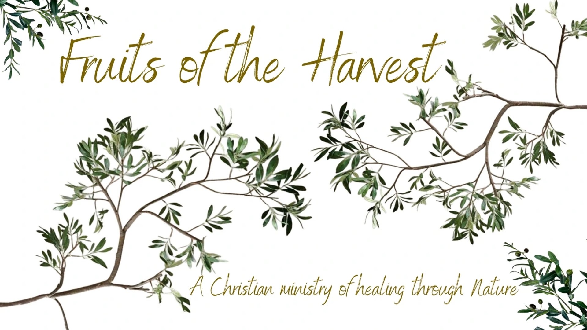 Fruits of the Harvest - A Christian ministry of healing through Nature