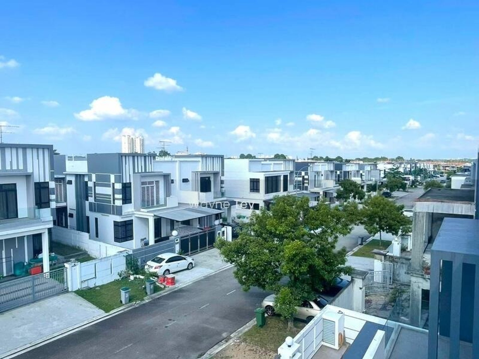 green palm tree during daytime
