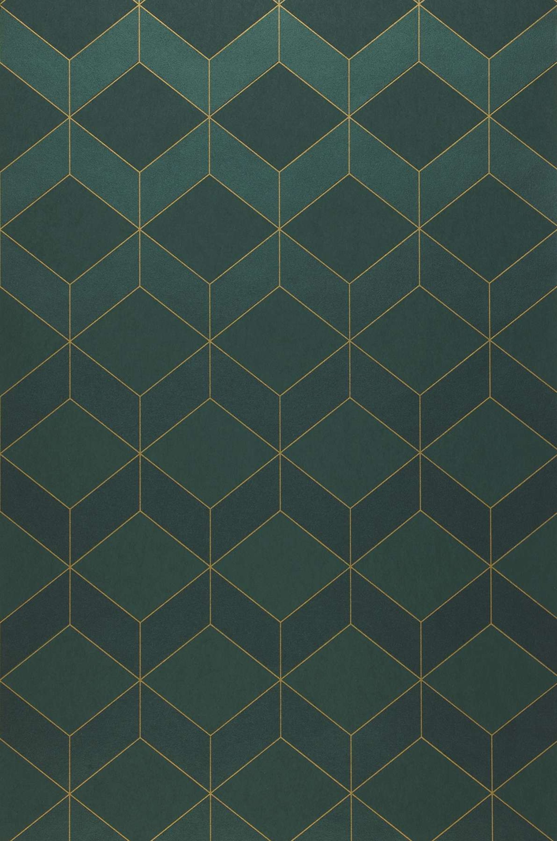 a black and white cat laying on a white surface