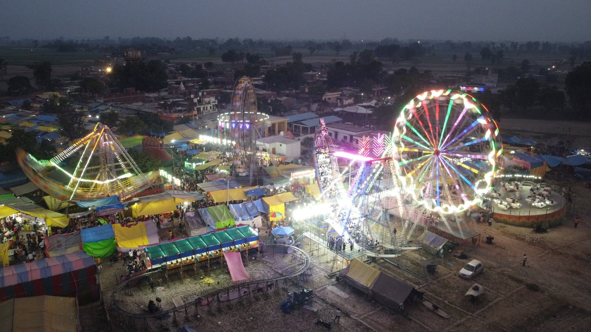 trees on forest with sun rays