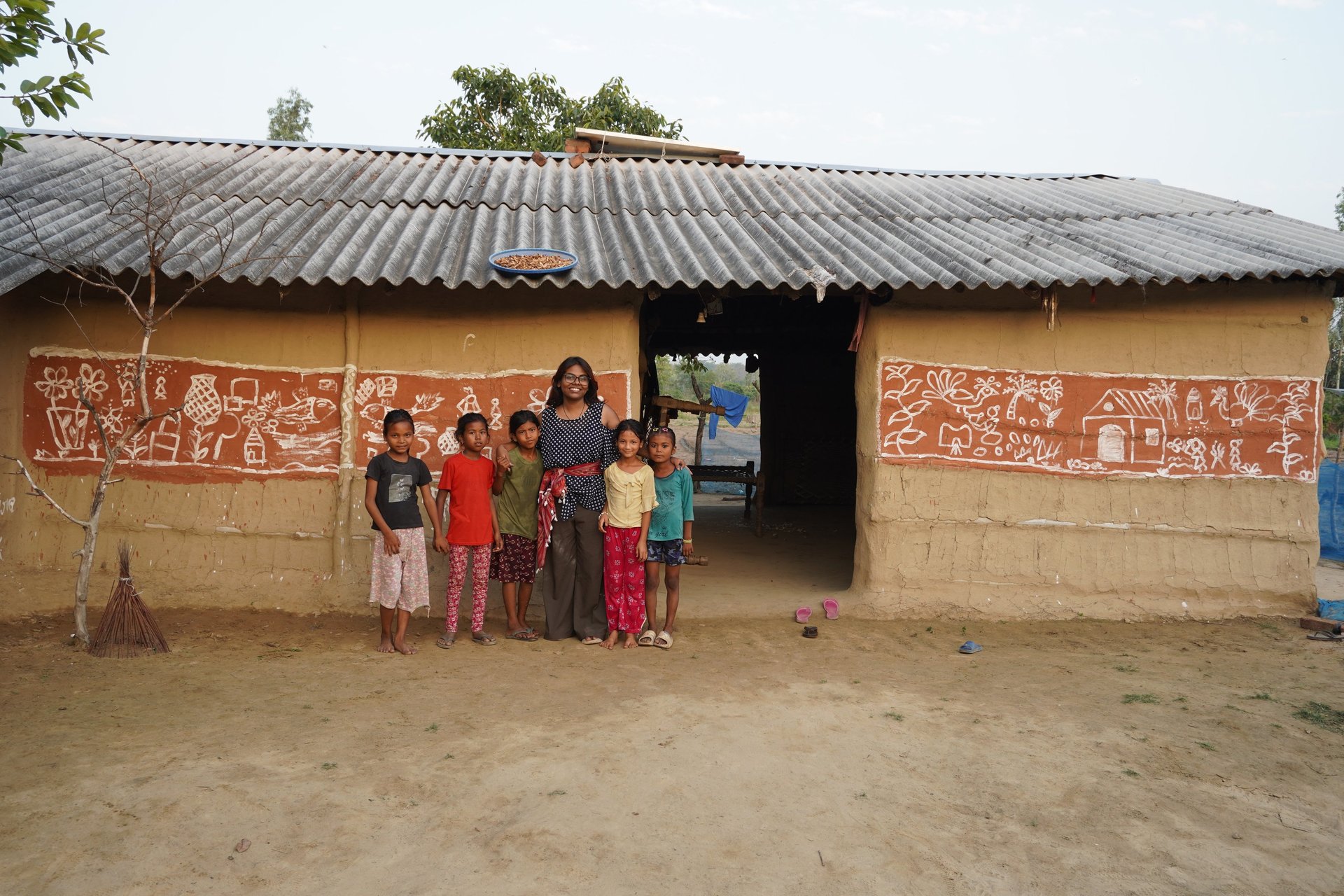 trees on forest with sun rays