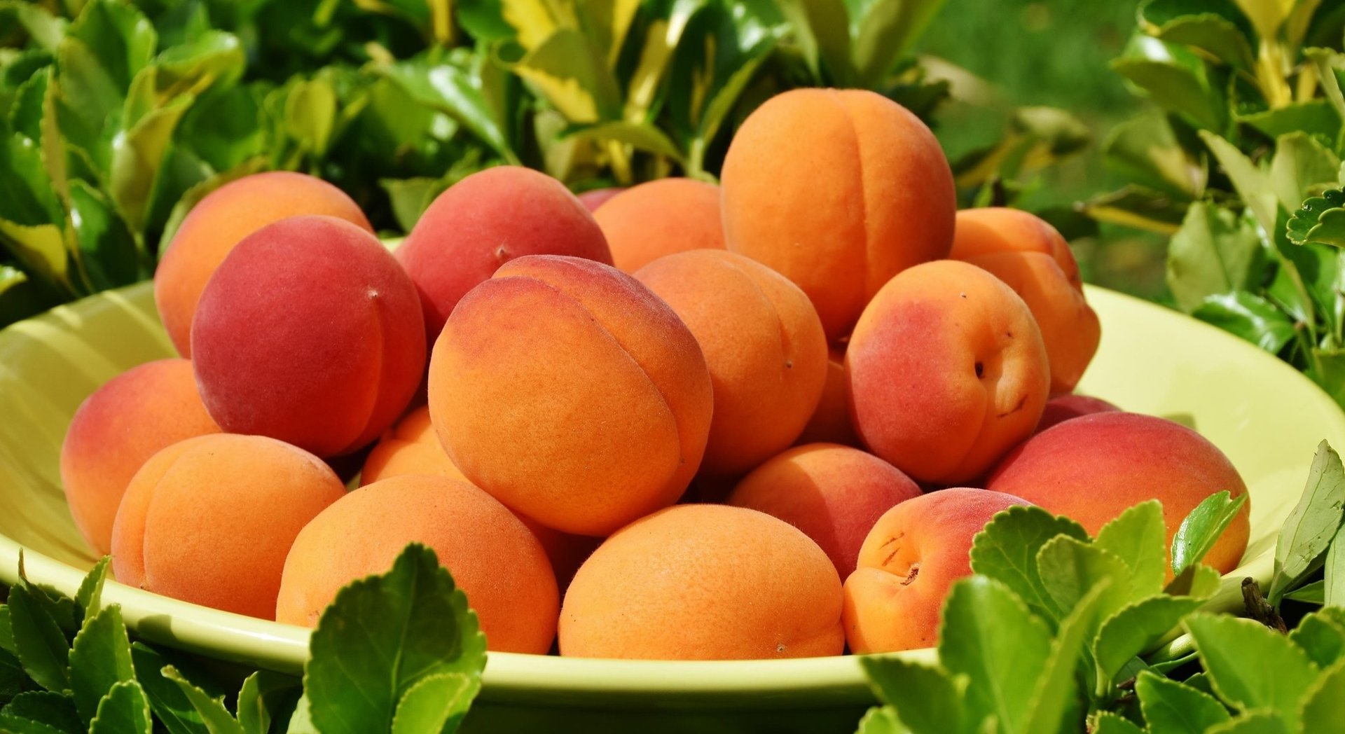 a pile of peaches with a leaf on top