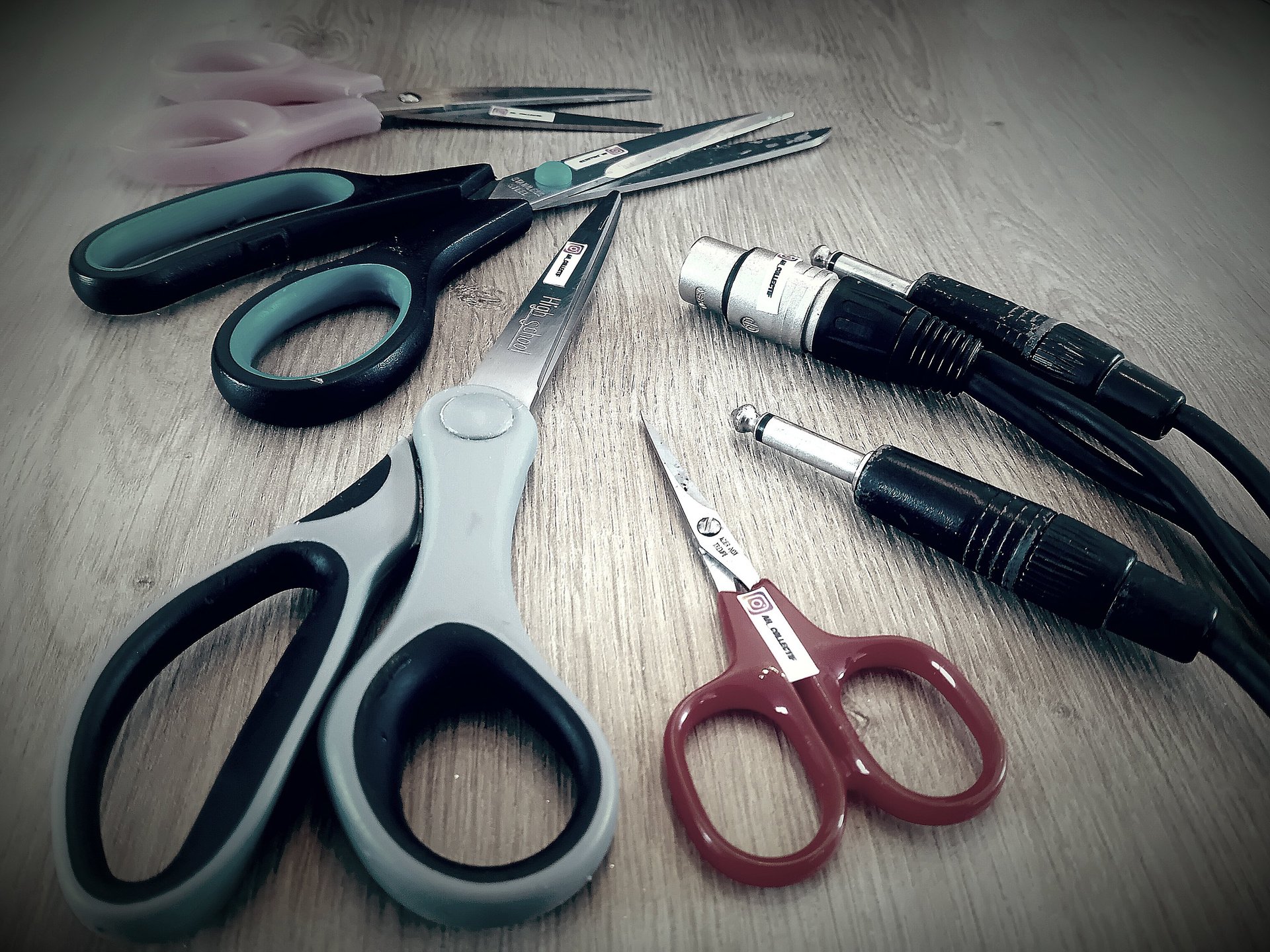 woman holding dried flower