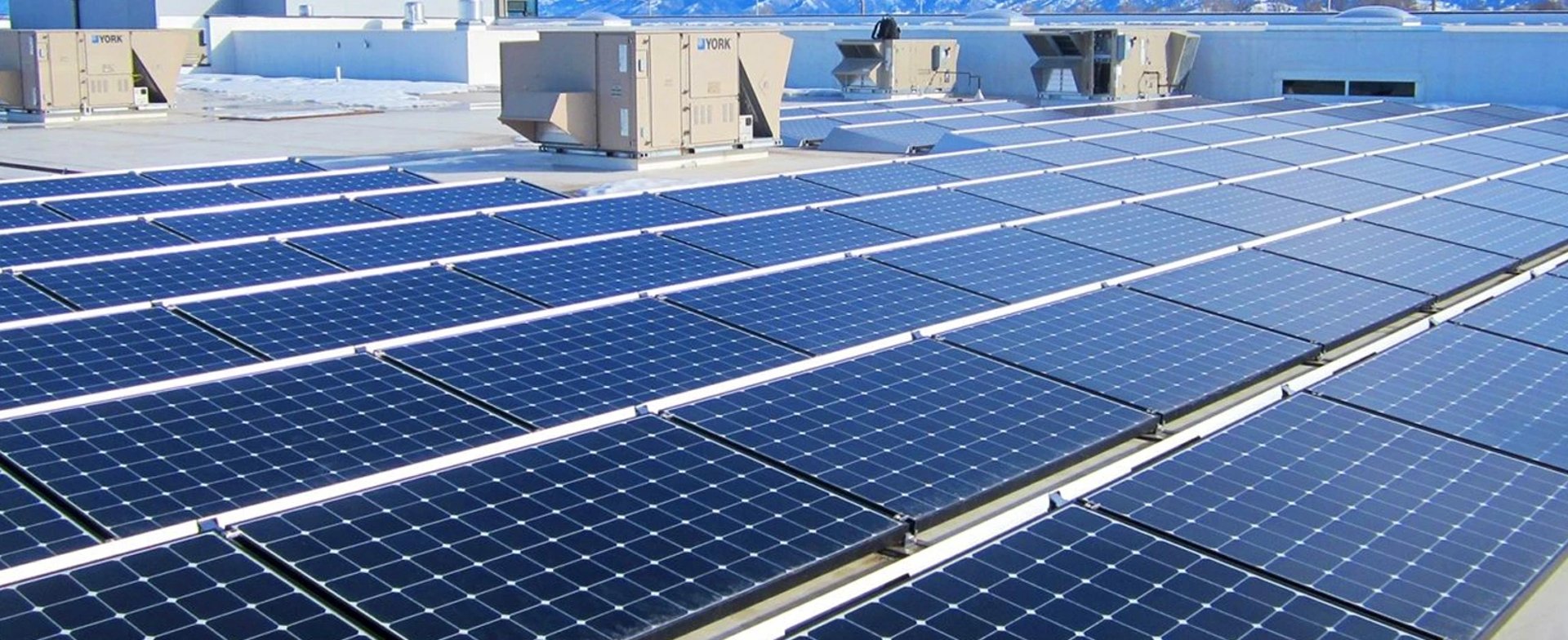 an abstract photo of a curved building with a blue sky in the background