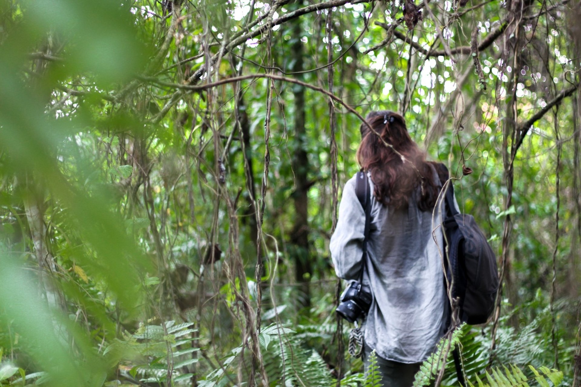 gray computer monitor