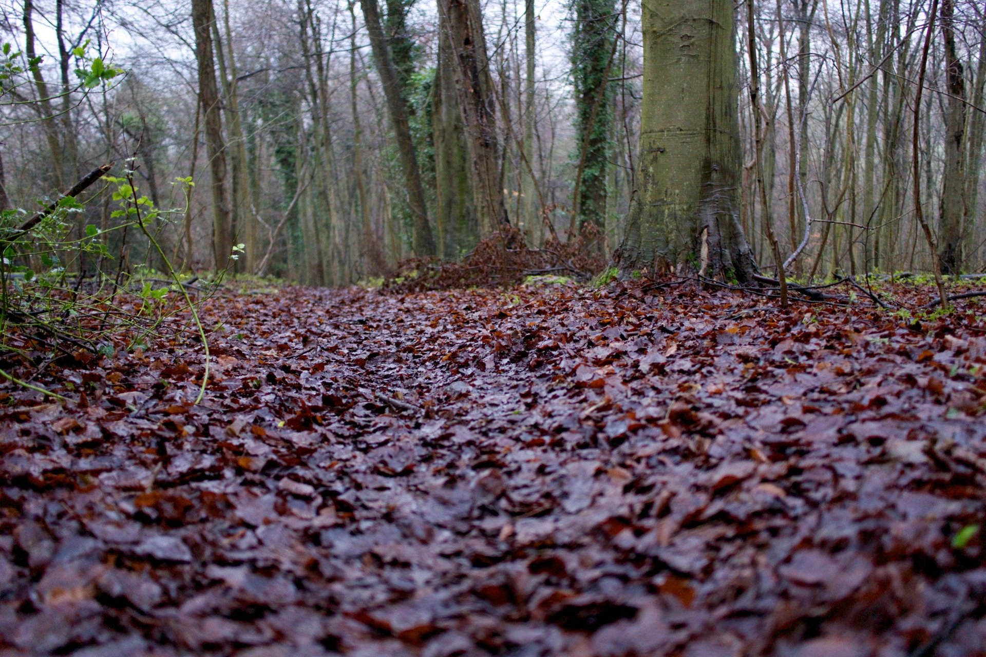 black and brown leather padded tub sofa