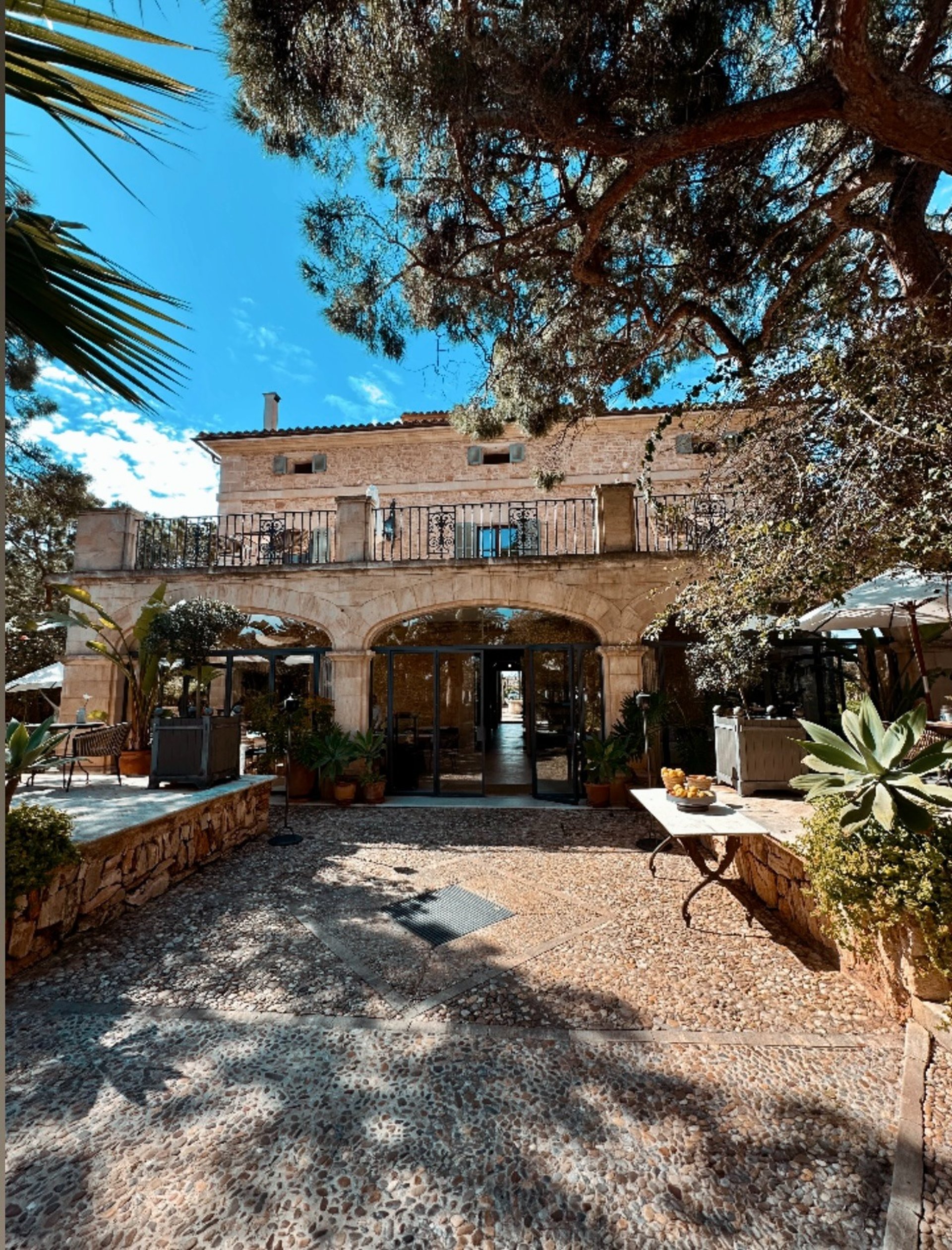 person's hand with glitters