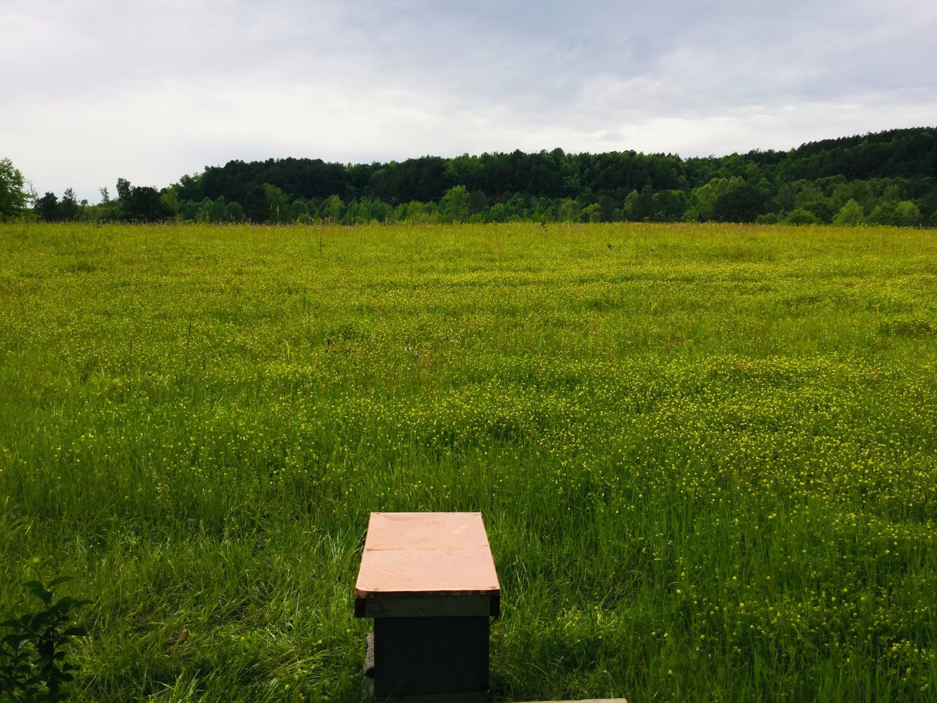 Serenity at Lost Cteek Farms