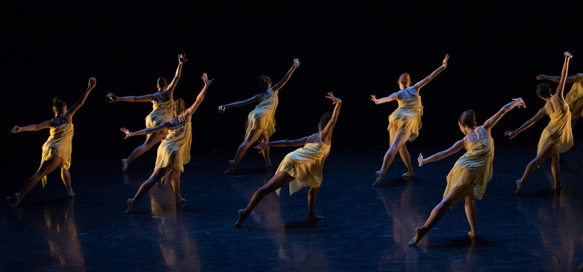 sun light passing through green leafed tree