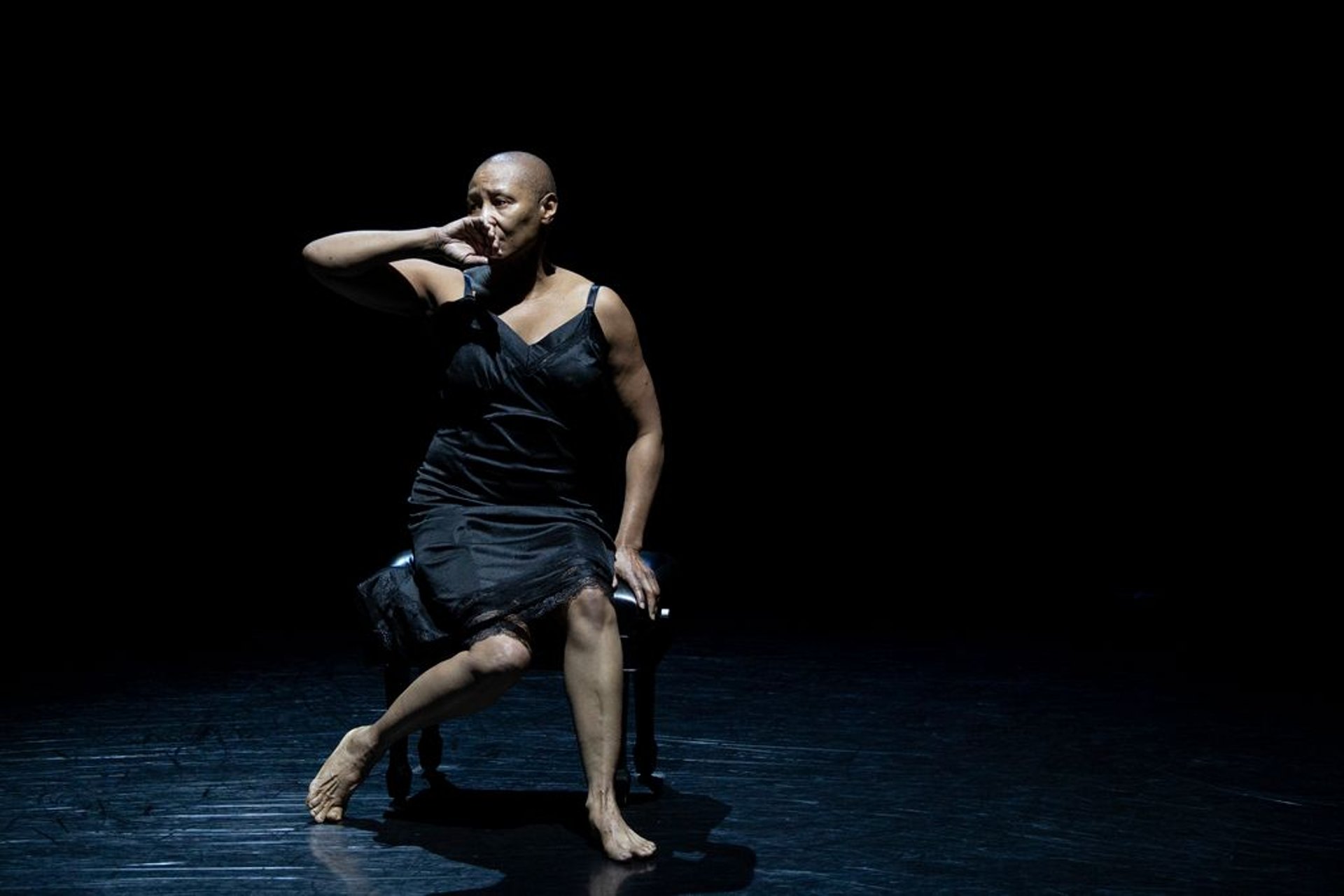 sun light passing through green leafed tree