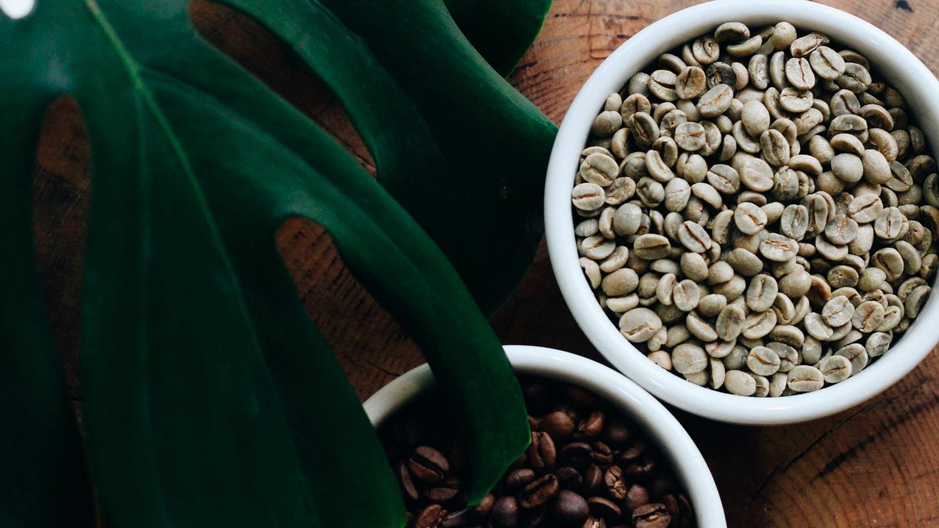 Close-up of green and roasted Colombian coffee beans from small farms