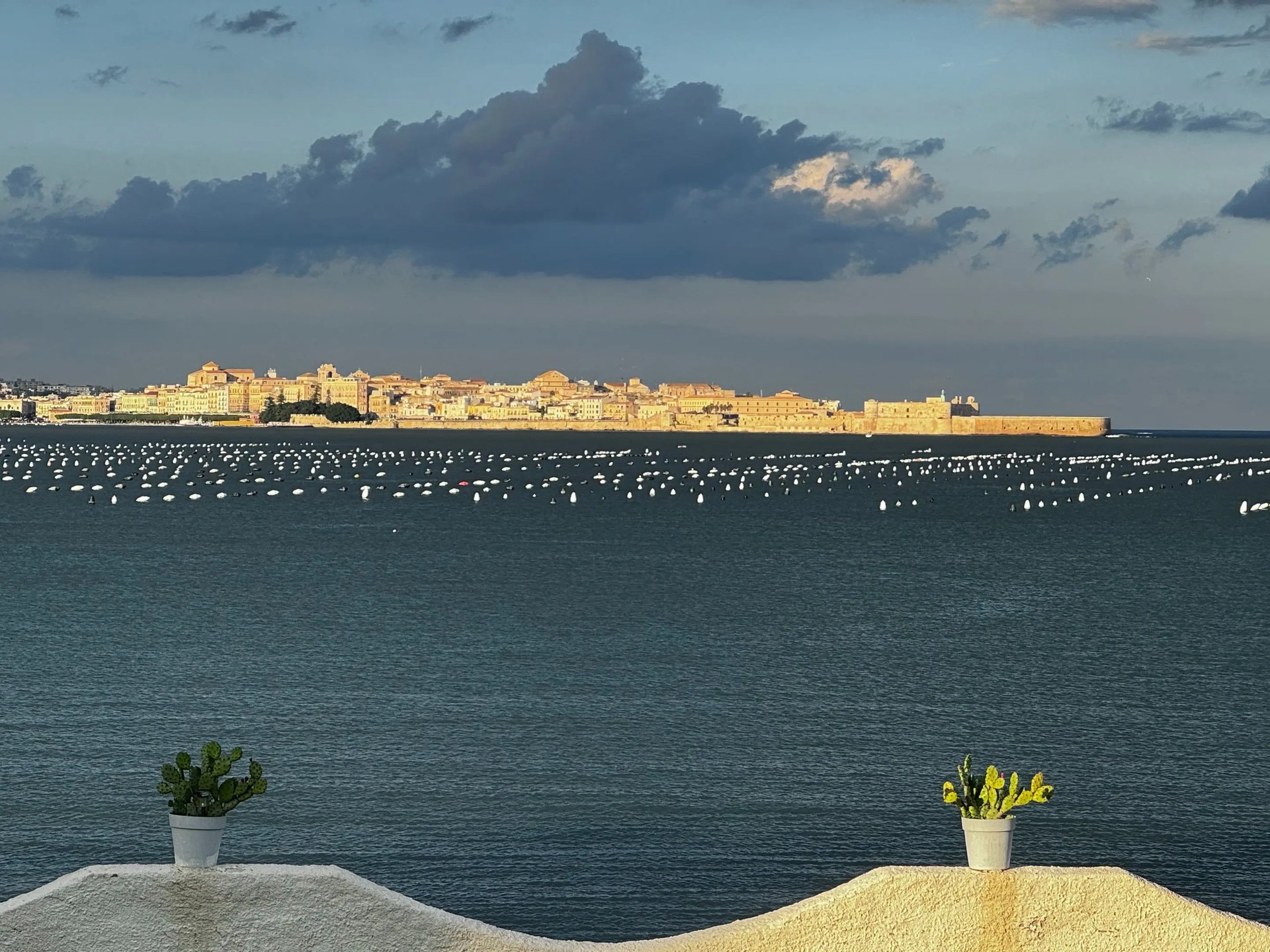 Panoramic view of Ortigia island and Maniace Castle in Syracuse, Sicily, with mussel farms in the sea, Villa Incanto on the S