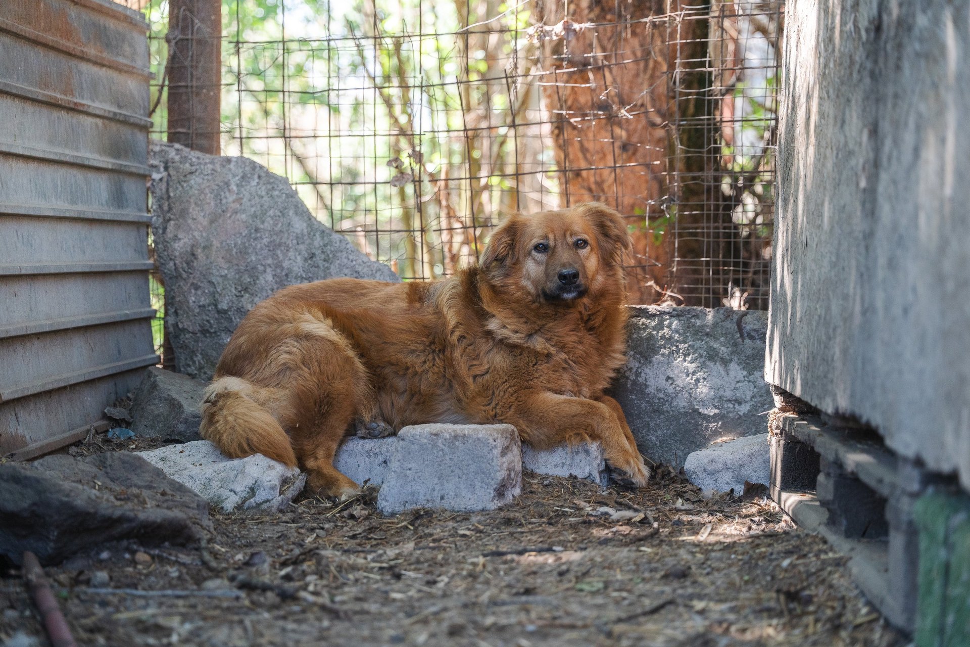 people sitting on grass field during daytime