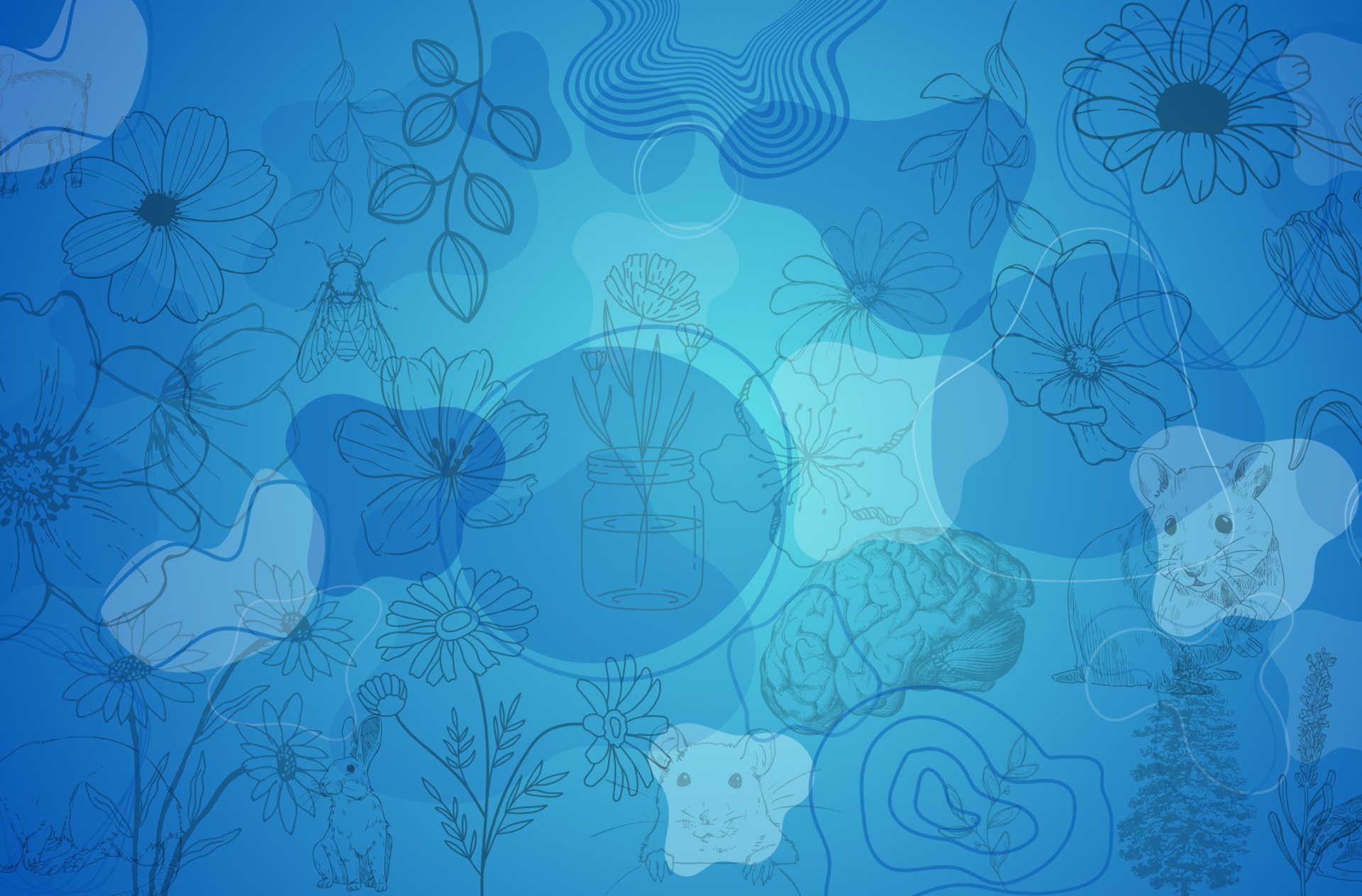 black and brown leather padded tub sofa