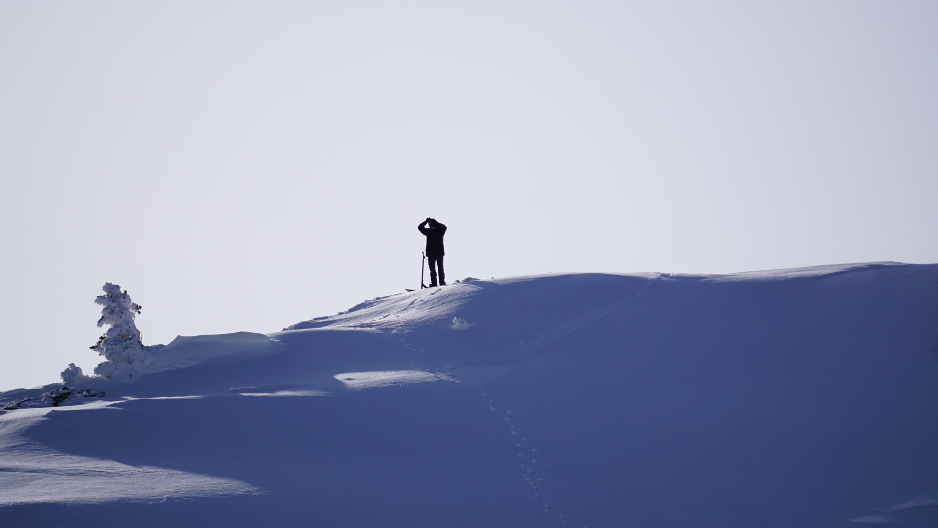 an abstract photo of a curved building with a blue sky in the background