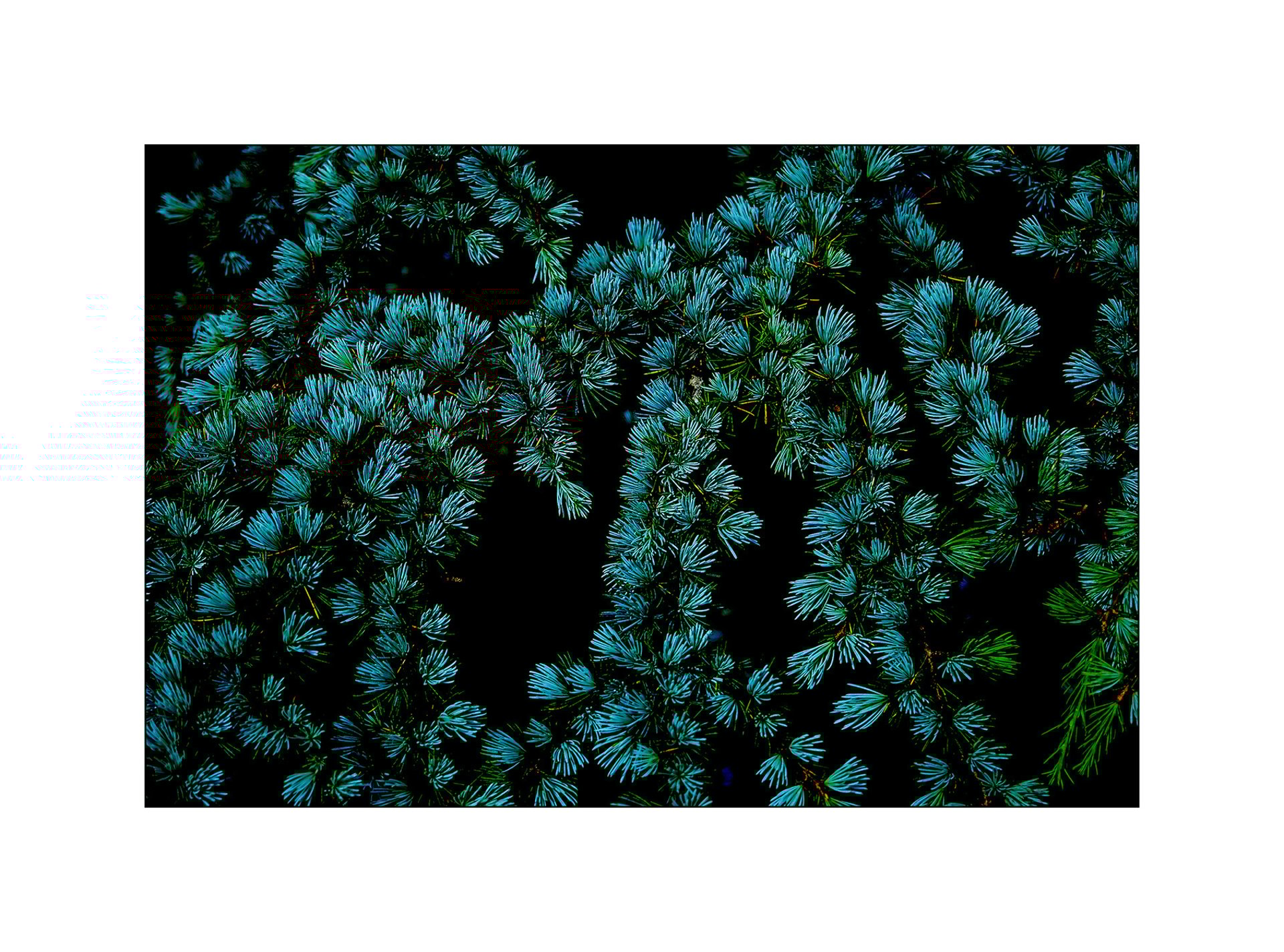 an abstract photo of a curved building with a blue sky in the background