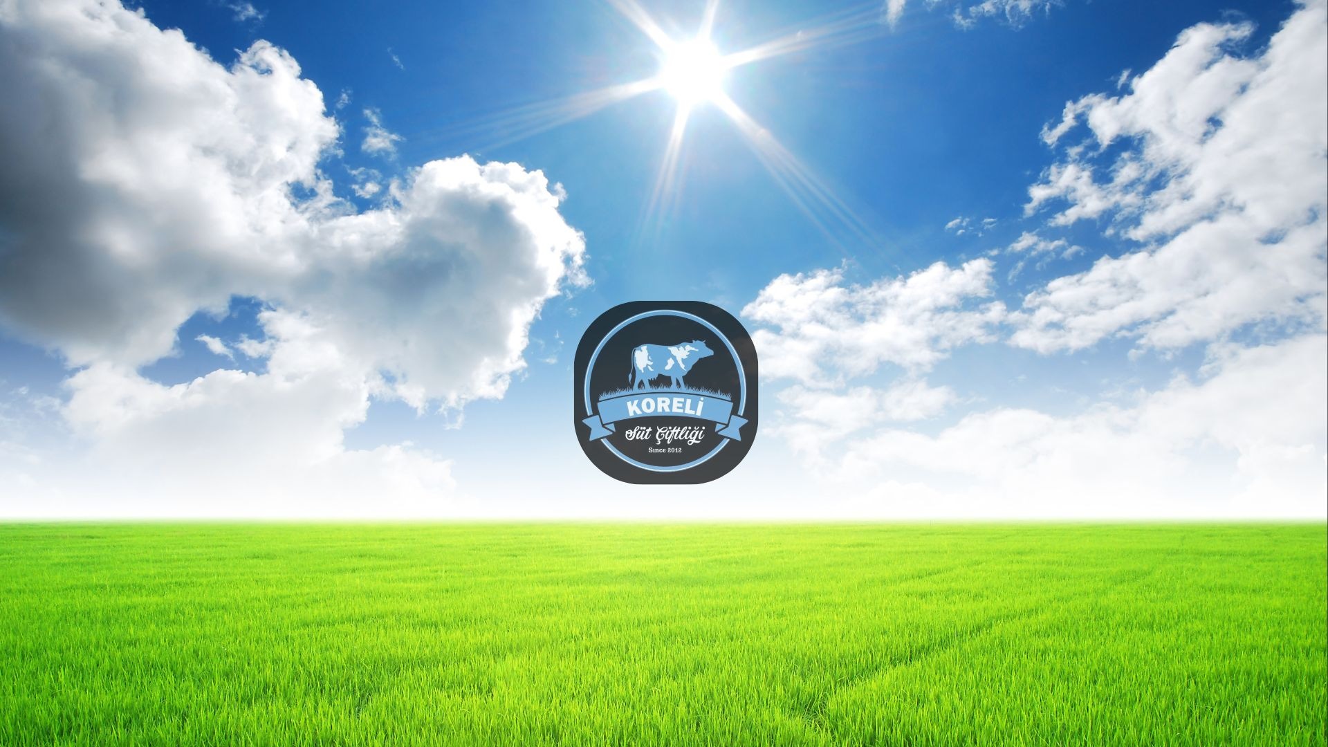 woman wearing yellow long-sleeved dress under white clouds and blue sky during daytime