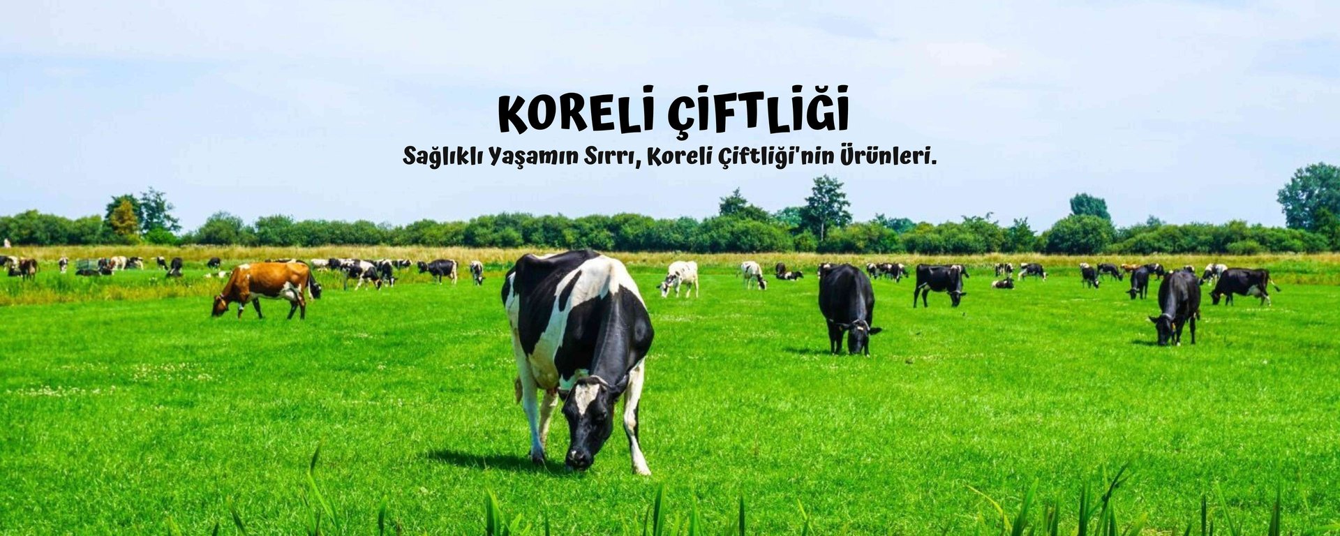 black and brown leather padded tub sofa