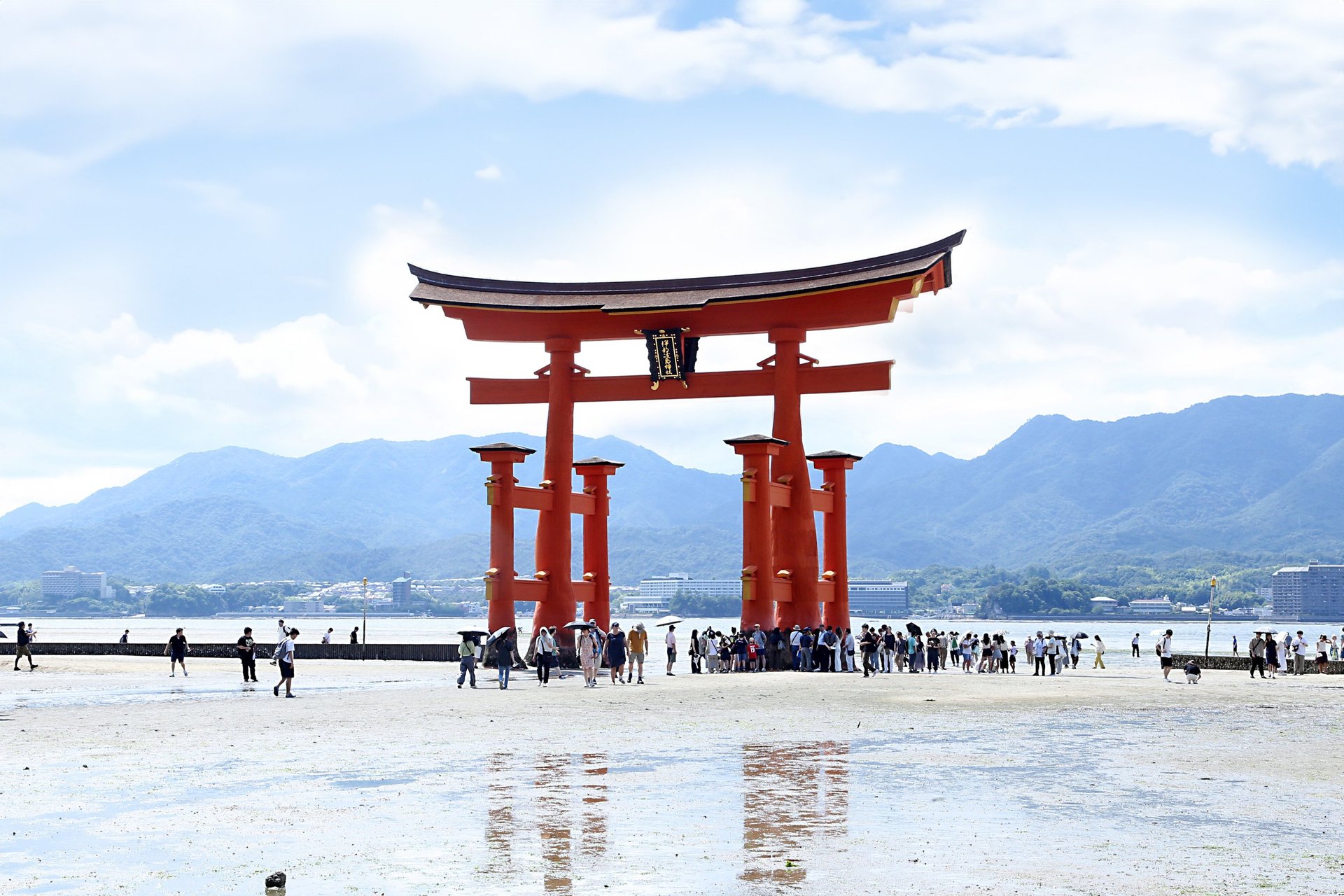 black and brown leather padded tub sofa