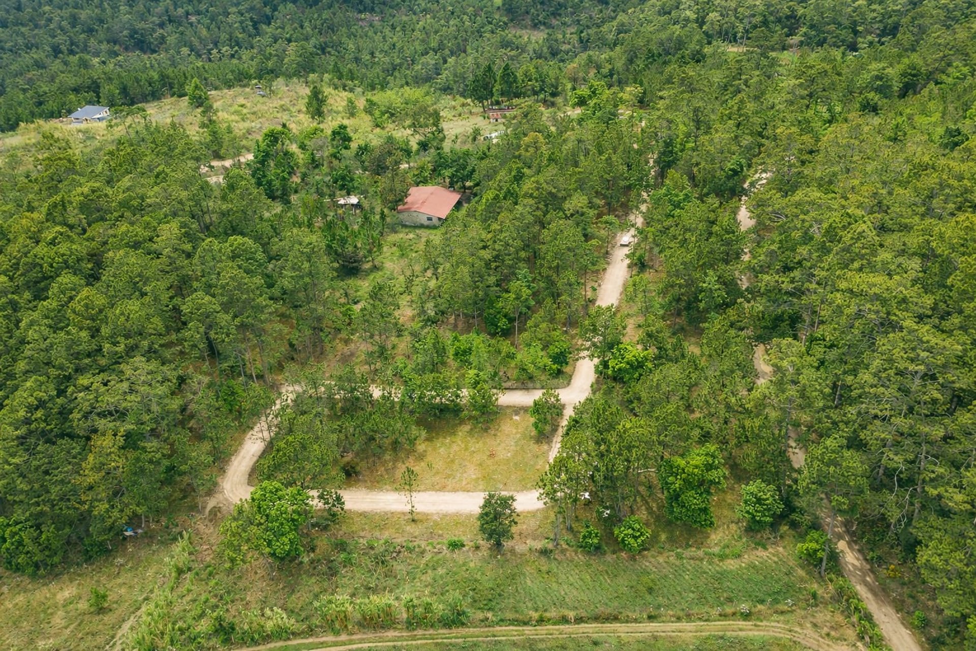 gray computer monitor