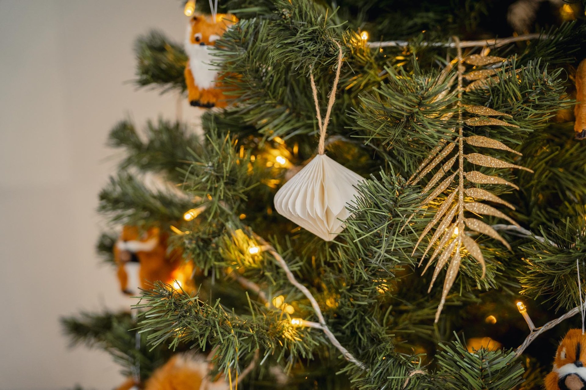 four gift boxes under Christmas tree