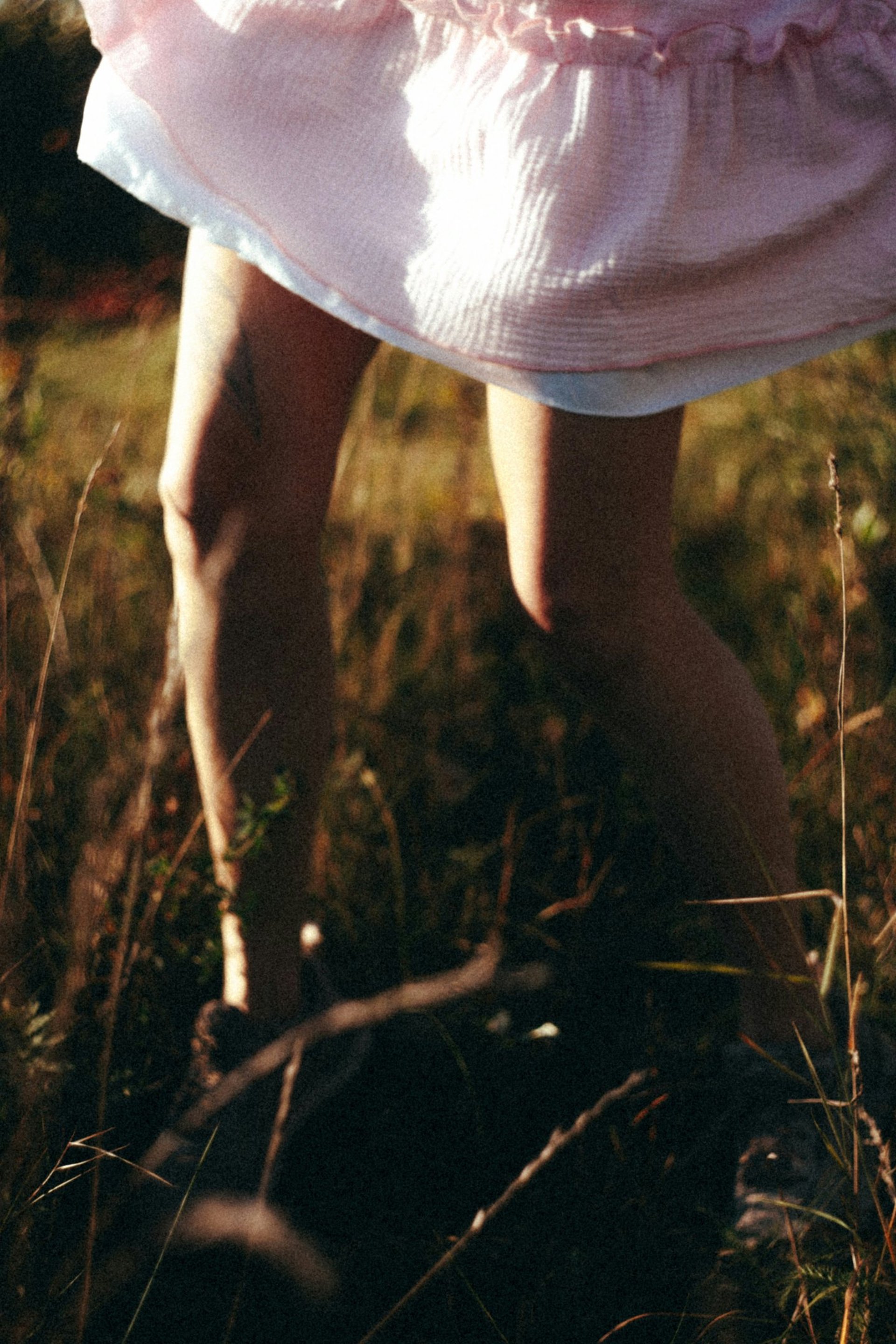 a blurry photo of a bunch of tall grass