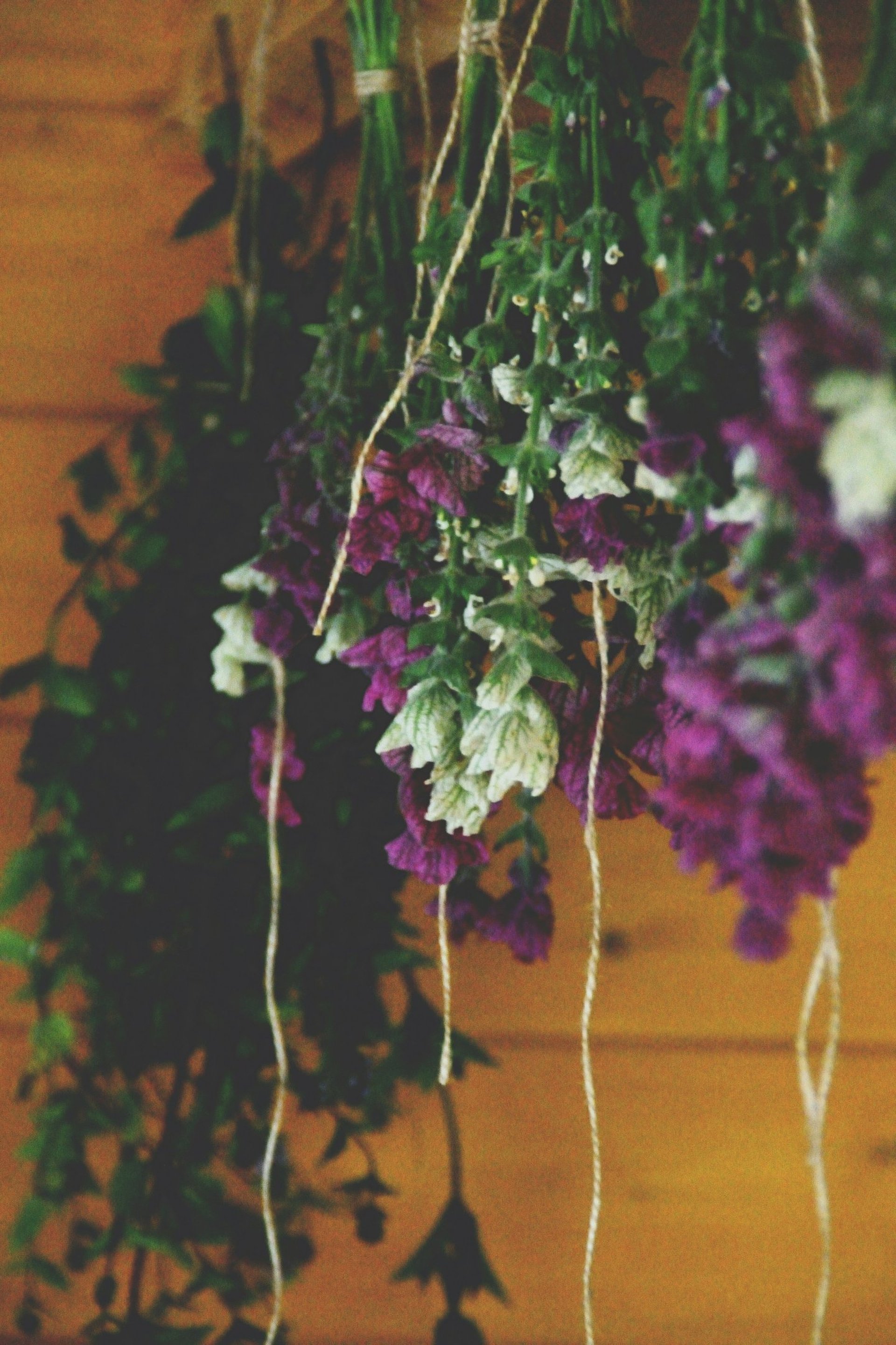 a bunch of purple flowers that are in a vase