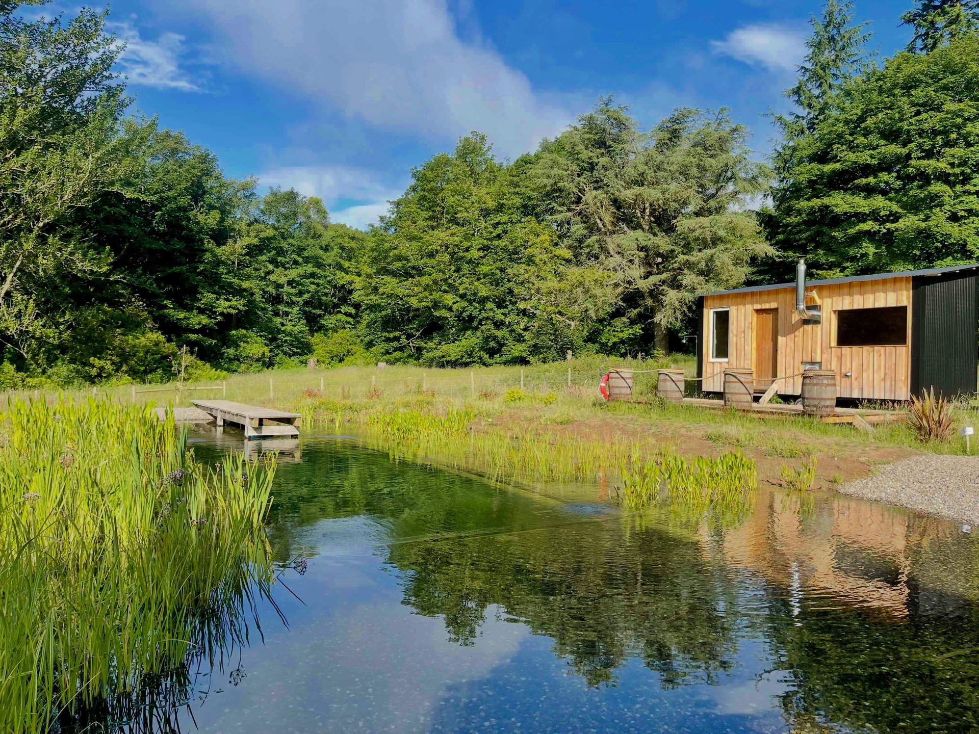 black blue and yellow textile