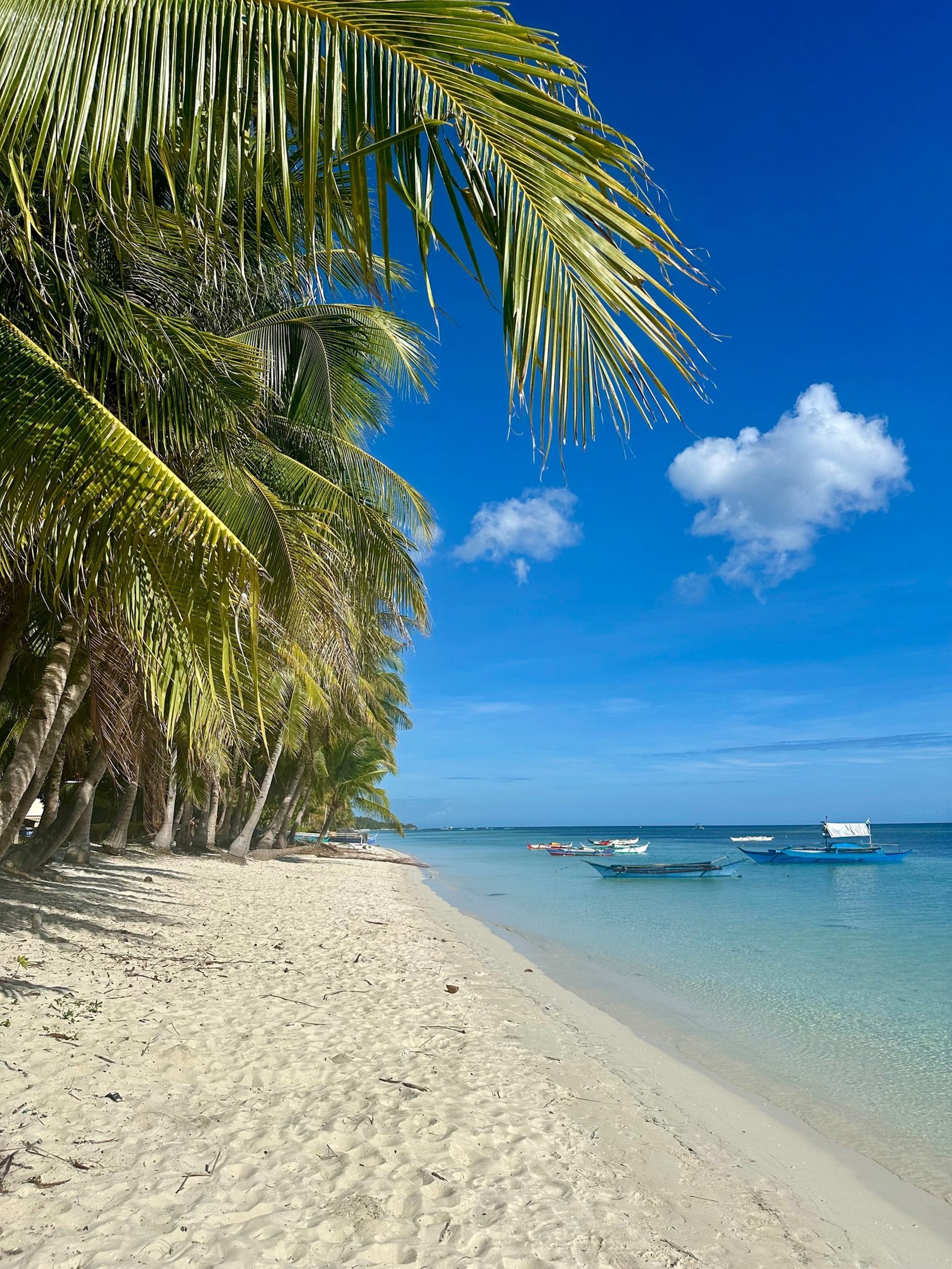 black and brown leather padded tub sofa