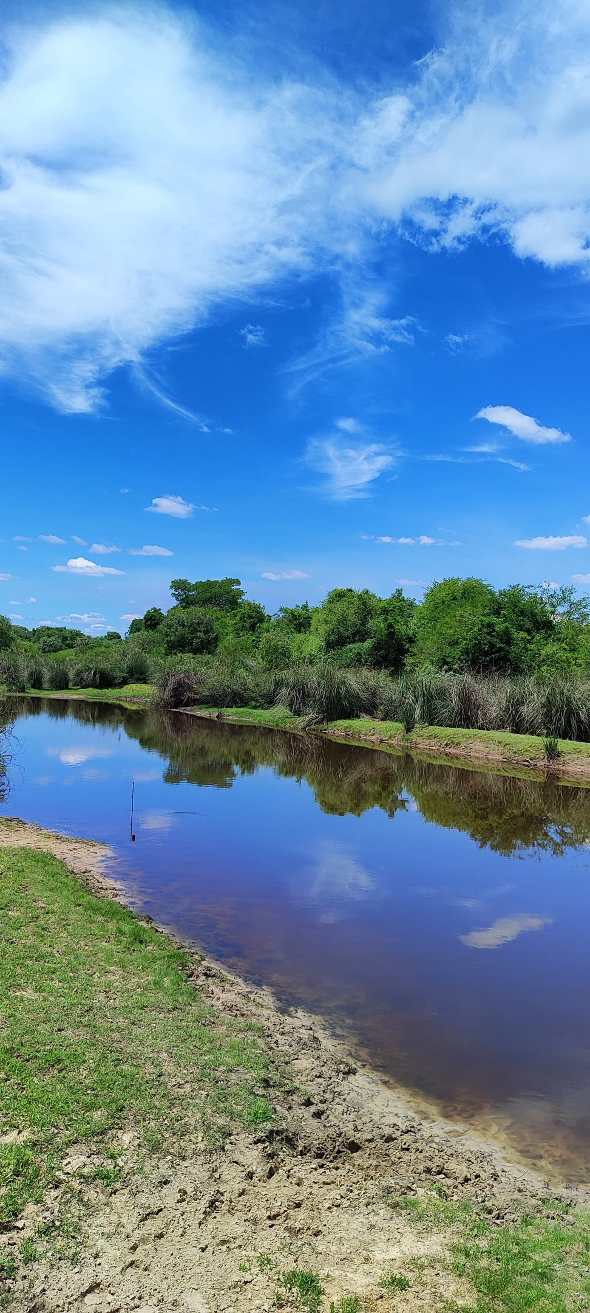 a black background with a wavy design
