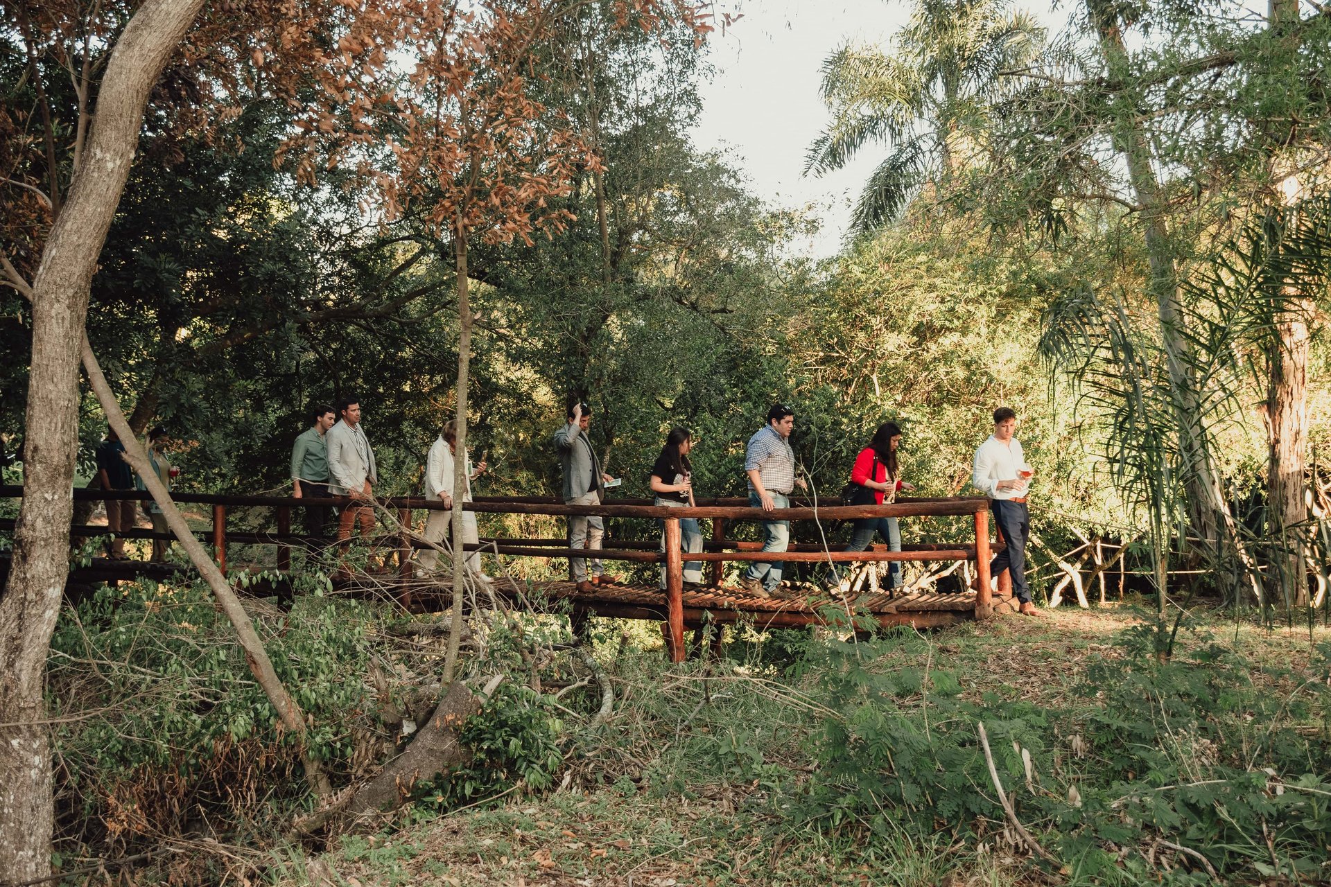 green grass field during daytime