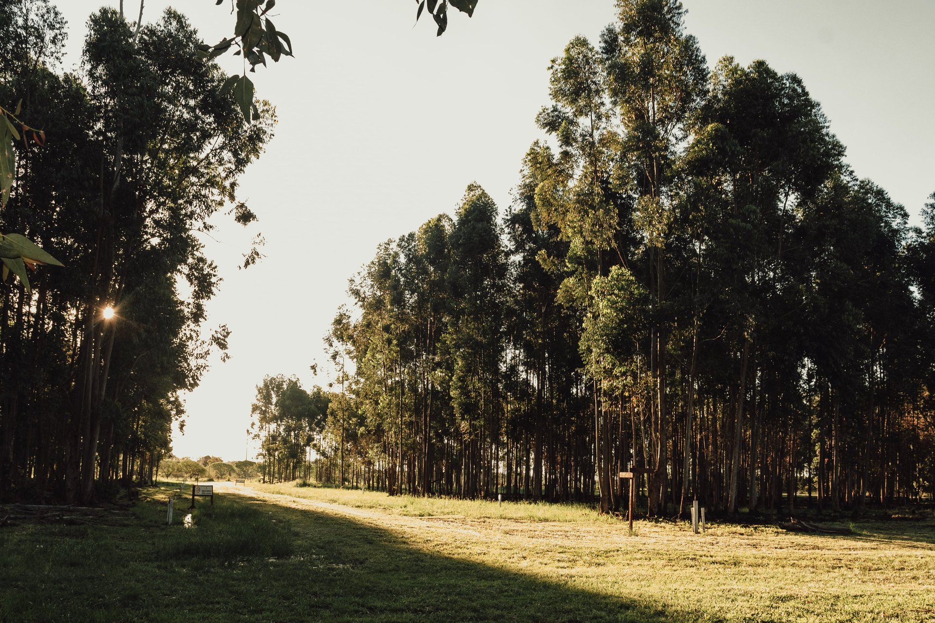 a black background with a wavy design