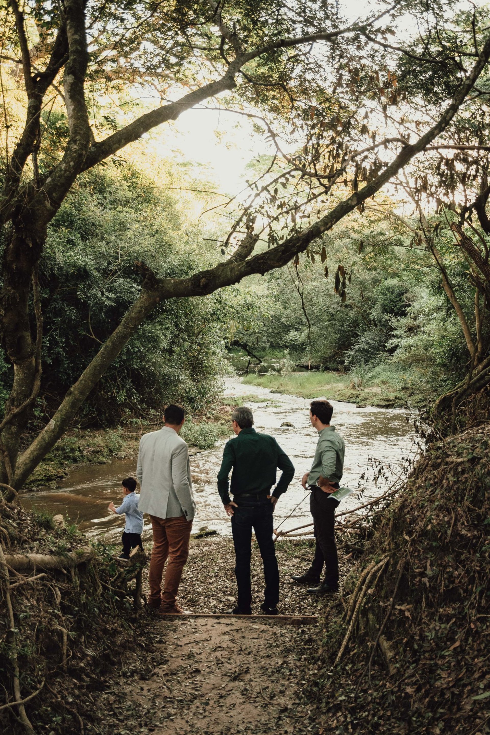 green grass field during daytime