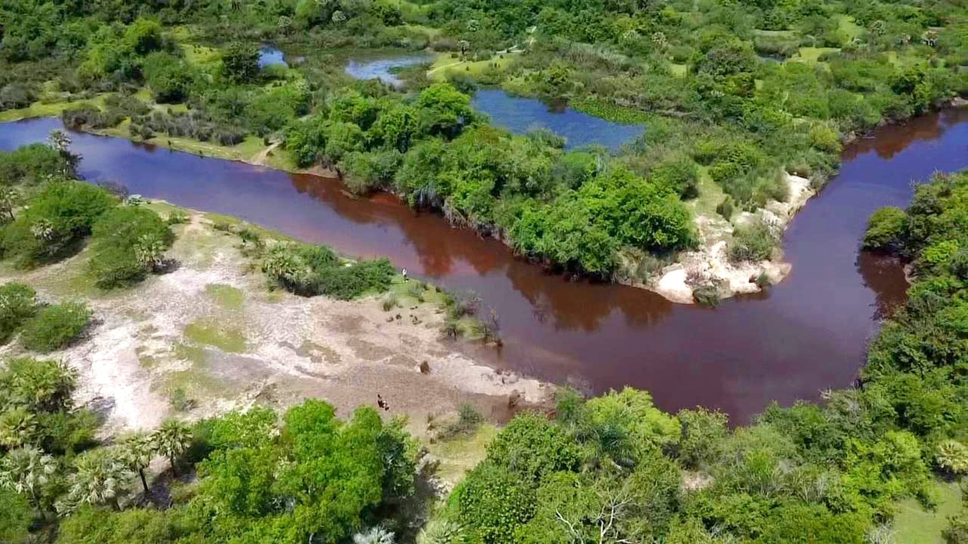 a black background with a wavy design