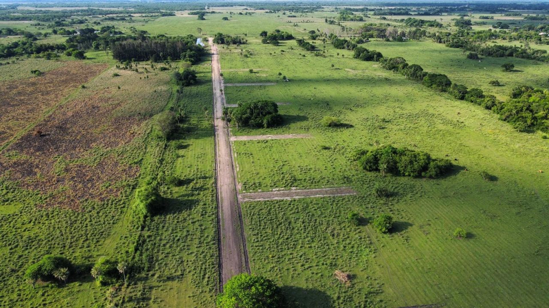 green grass field during daytime