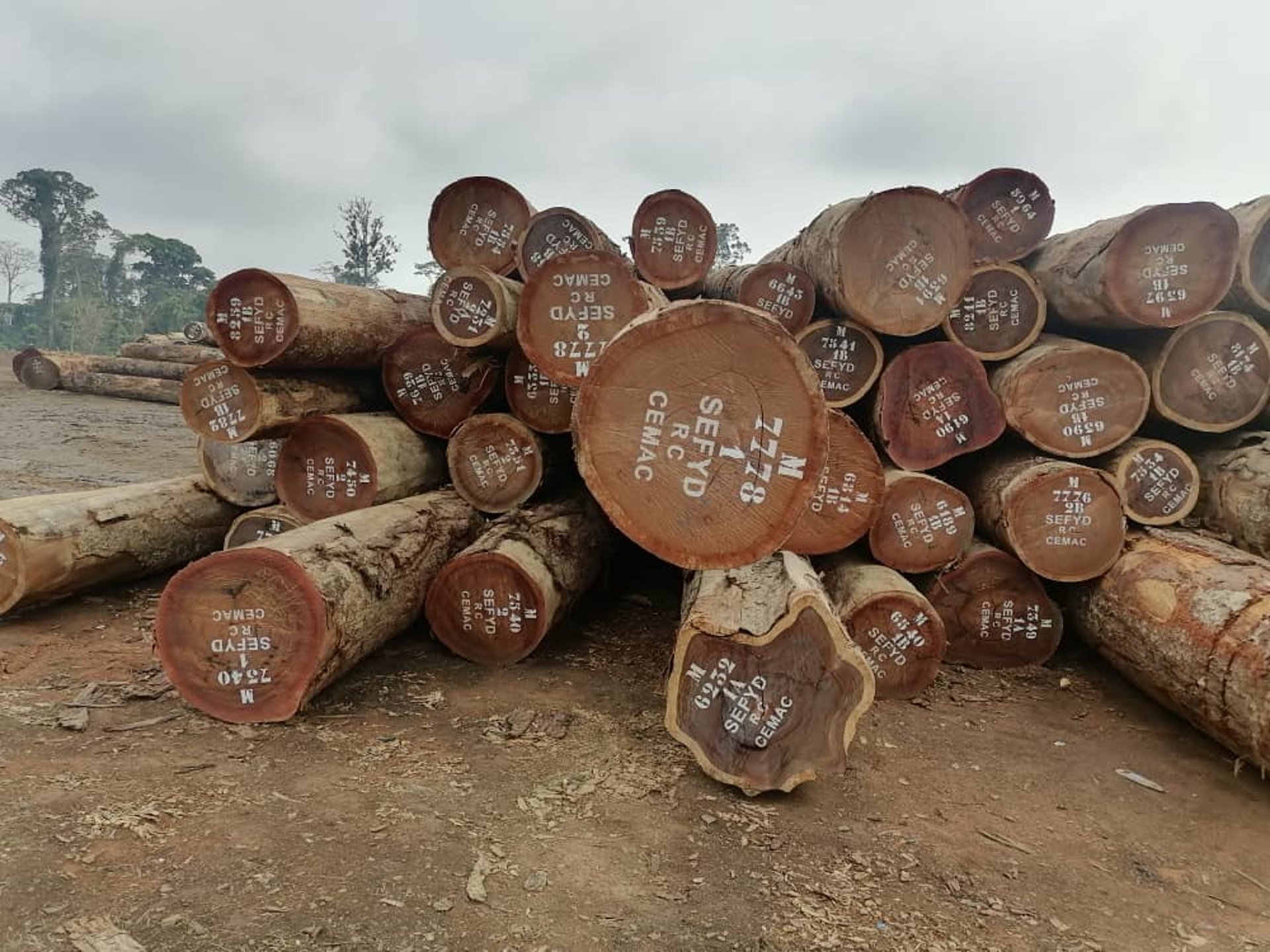 black and brown leather padded tub sofa