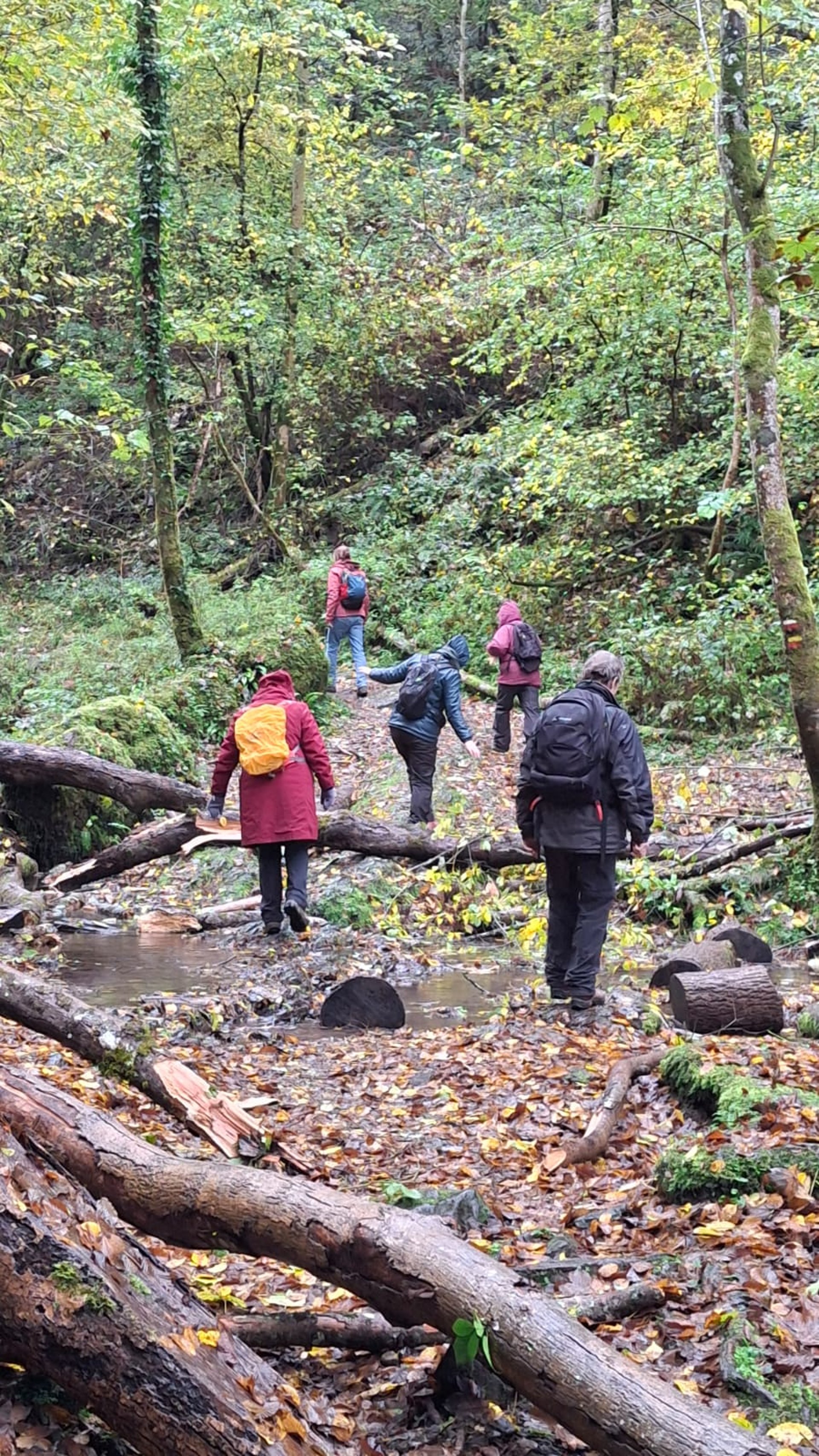 black and brown leather padded tub sofa