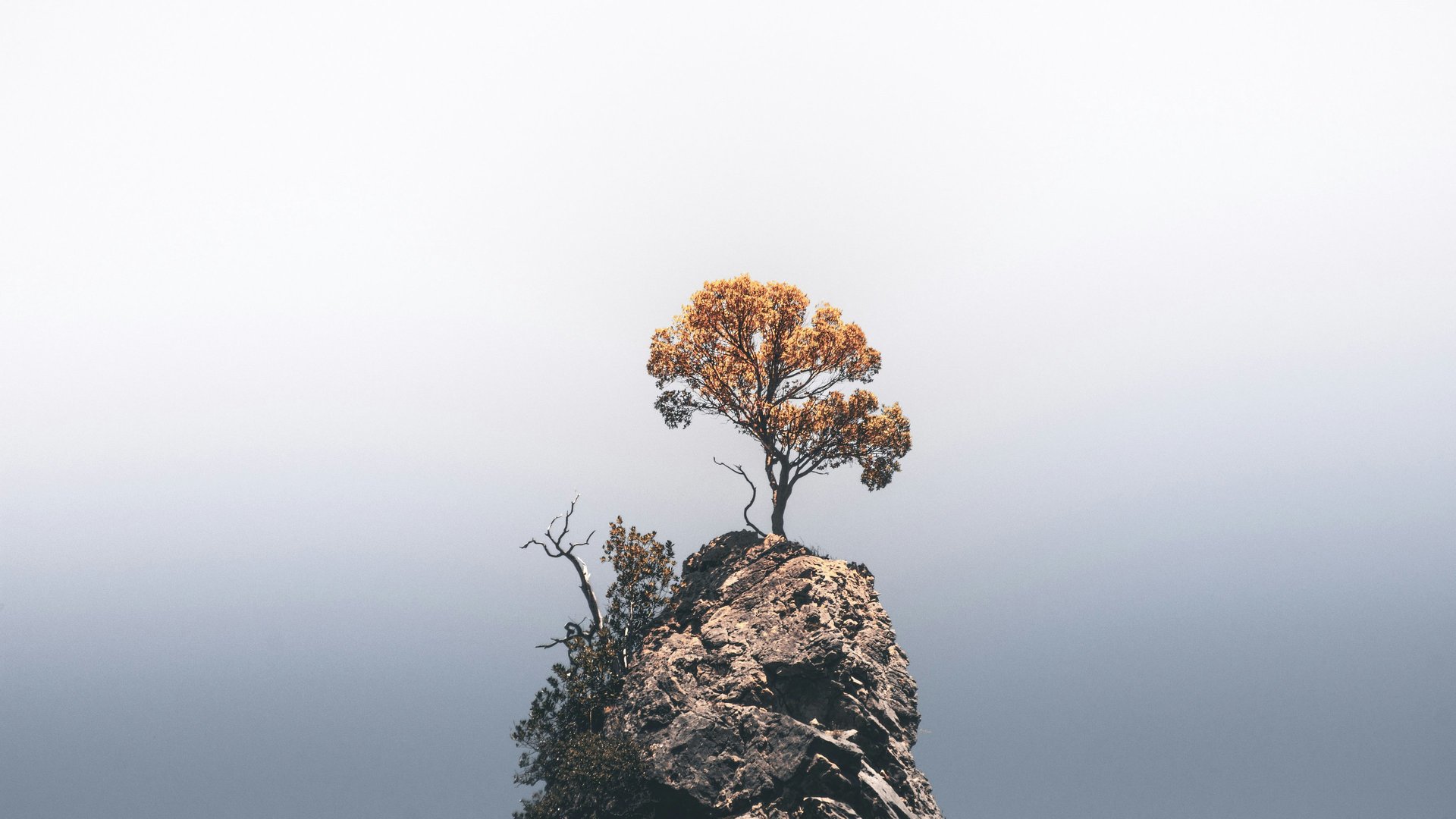 black and brown leather padded tub sofa
