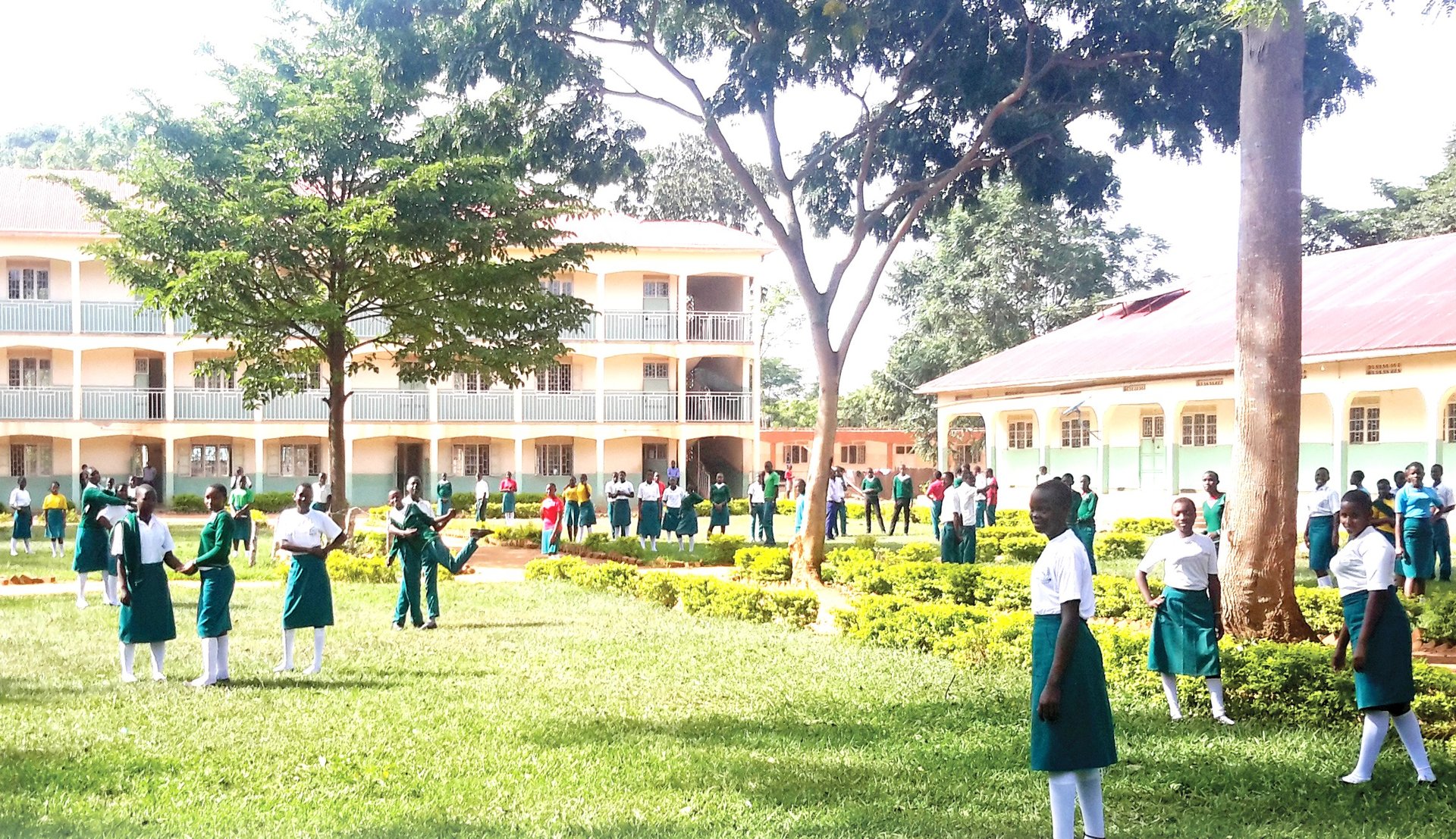 black and brown leather padded tub sofa